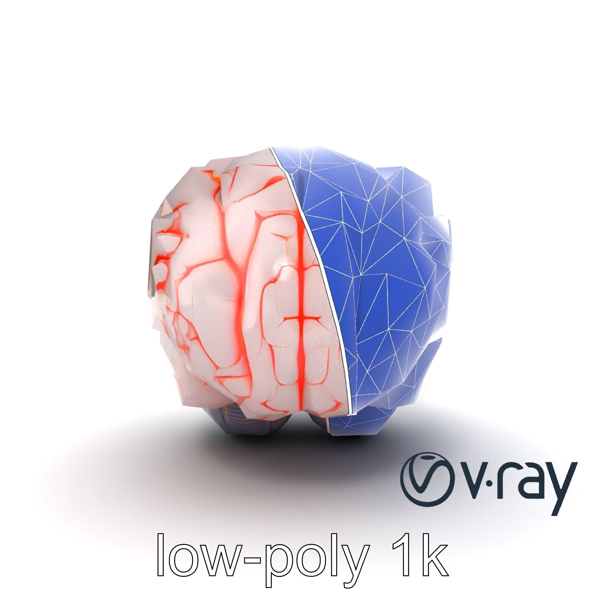 Glowing Stylized Brain Design model pack Low-poly 3D model_14