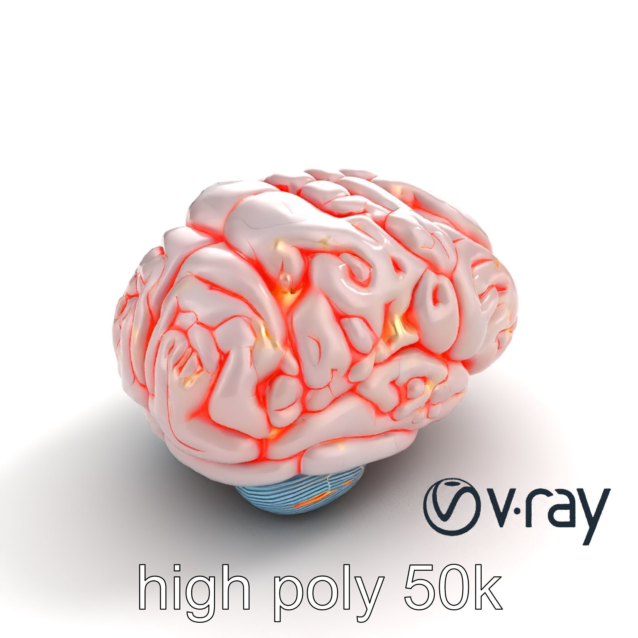 Glowing Stylized Brain Design model pack Low-poly 3D model_16