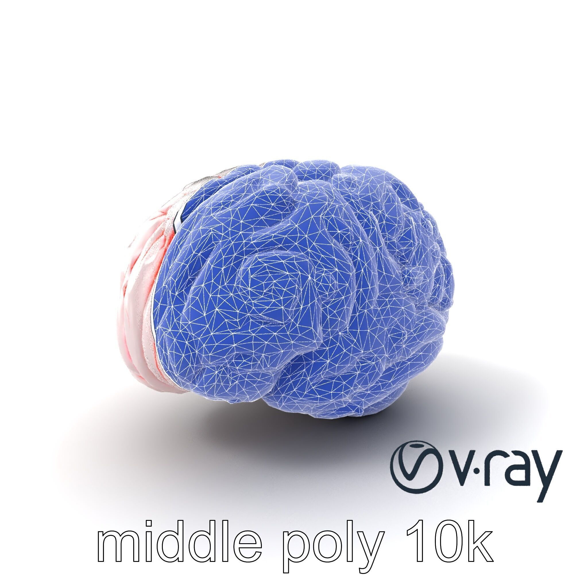 Glowing Stylized Brain Design model pack Low-poly 3D model_25