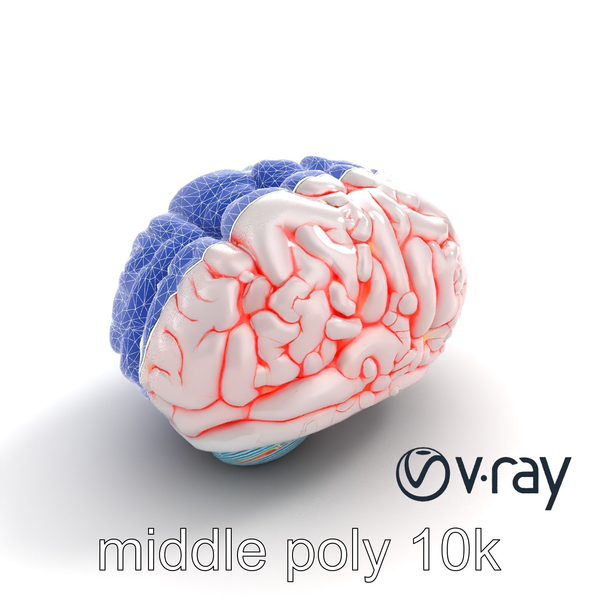 Glowing Stylized Brain Design model pack Low-poly 3D model_20