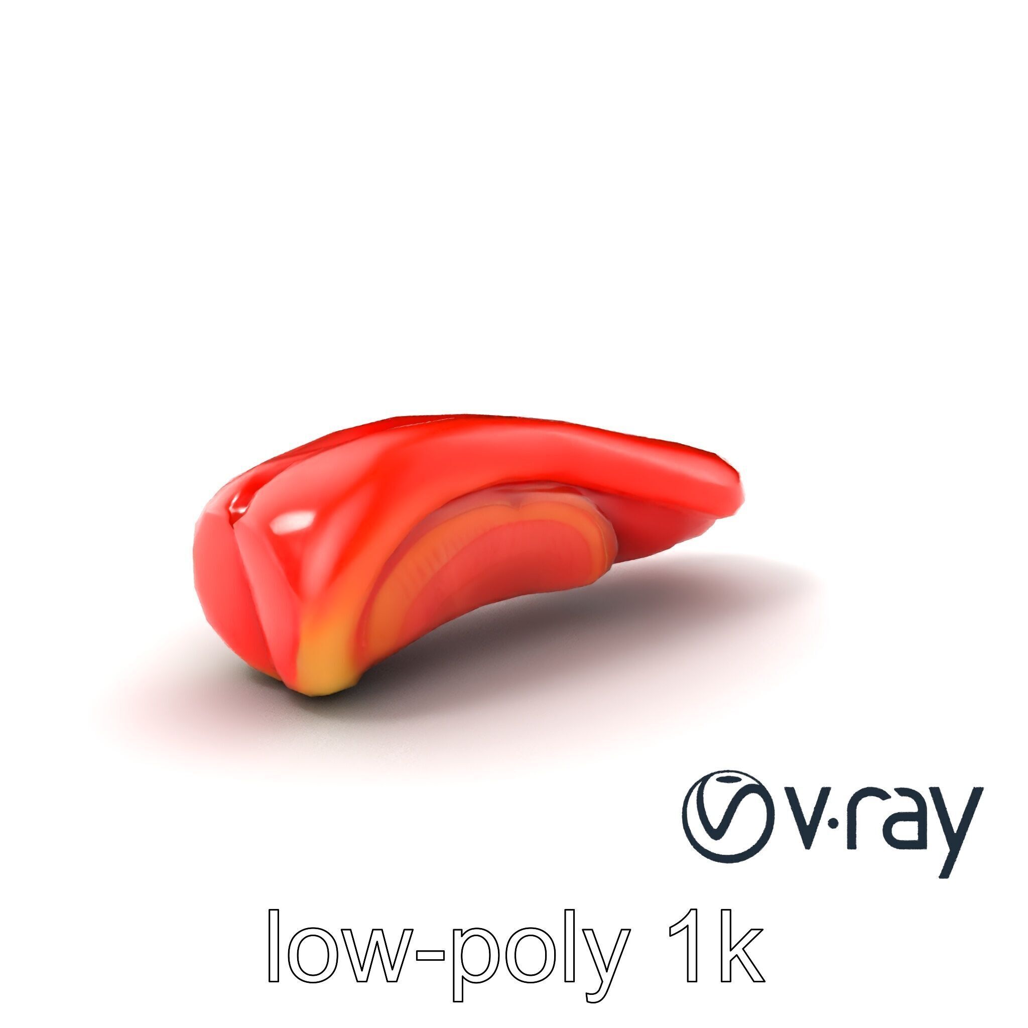 Anatomical Tongue 3D model pack with realistic texture Low-poly 3D model_2