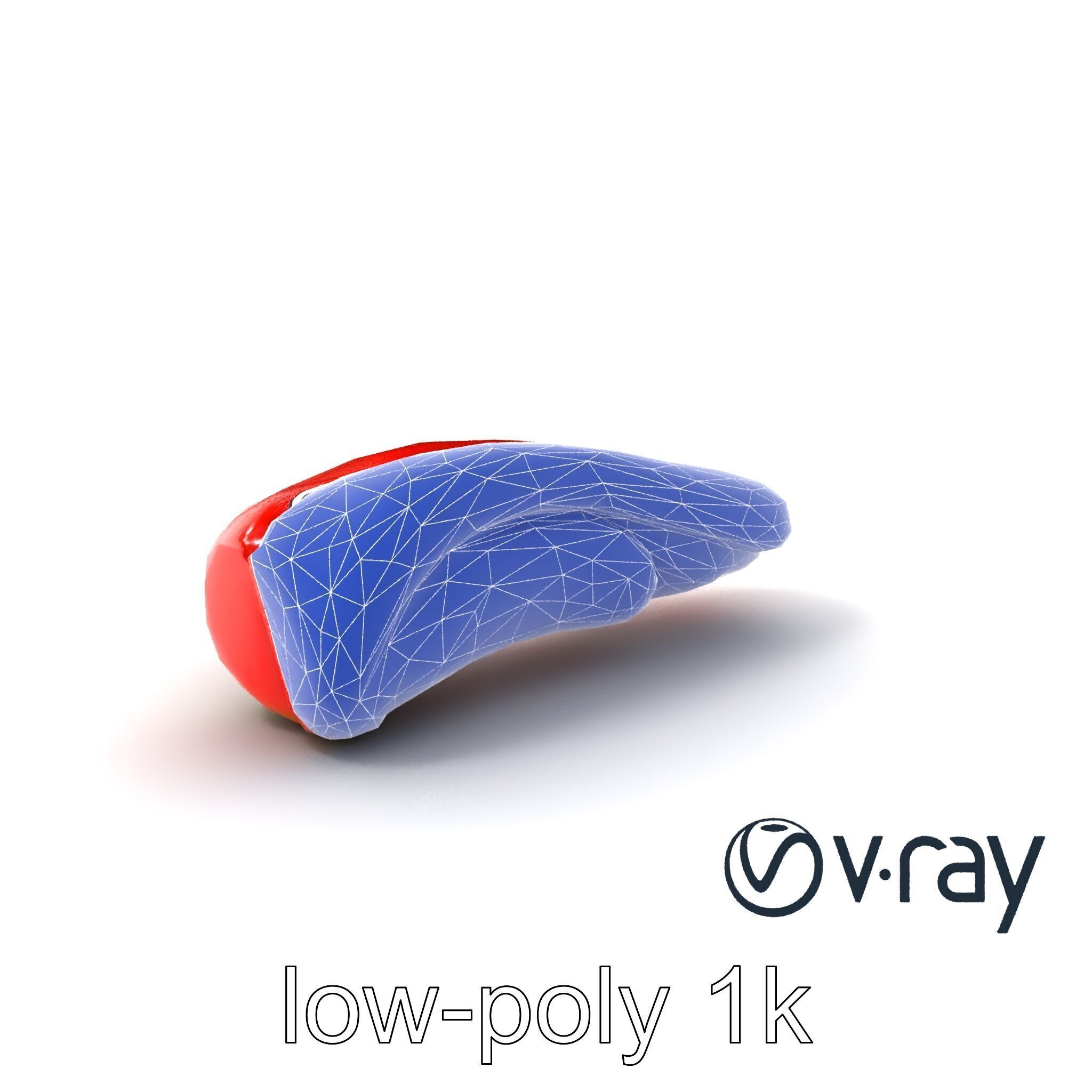 Anatomical Tongue 3D model pack with realistic texture Low-poly 3D model_15