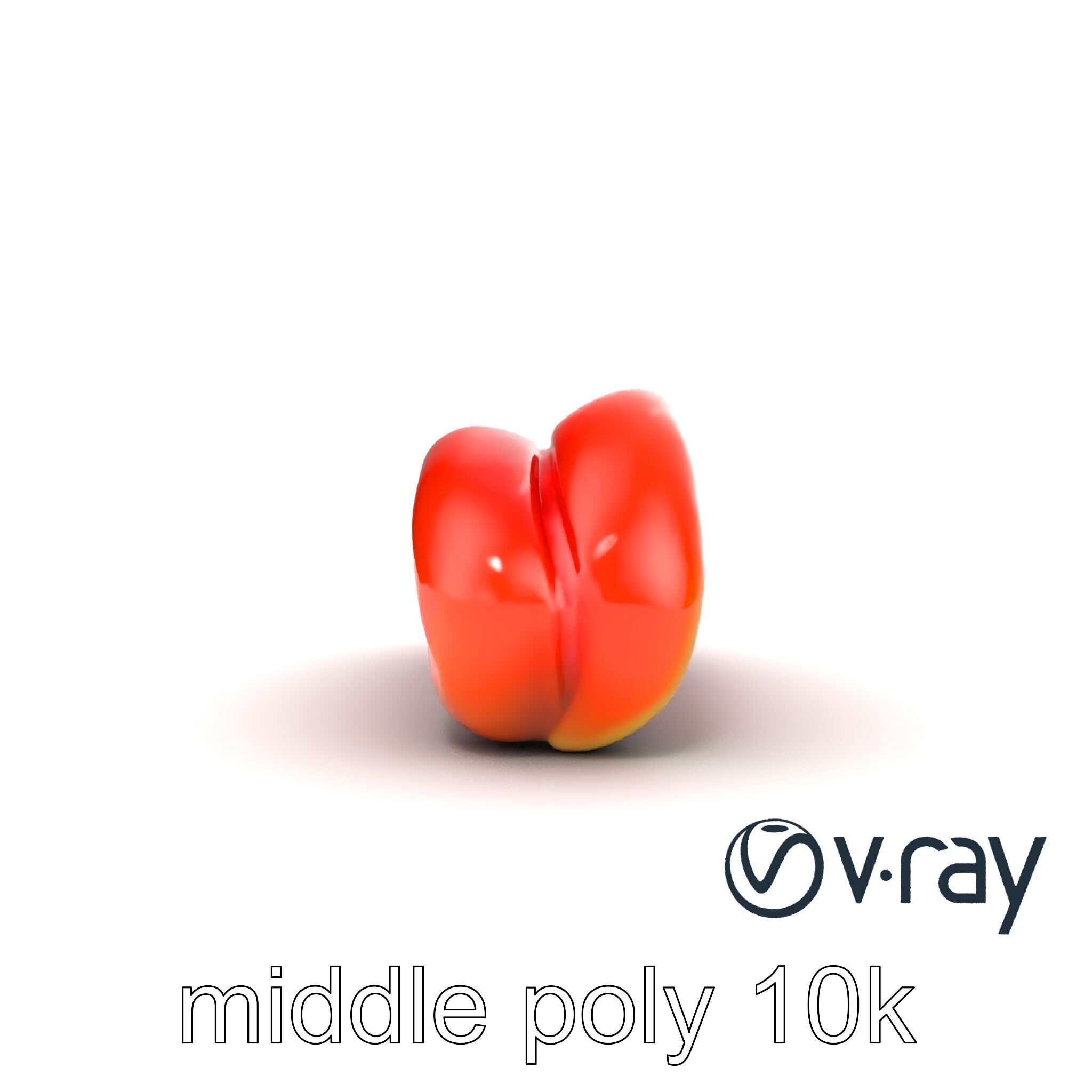 Anatomical Tongue 3D model pack with realistic texture Low-poly 3D model_31