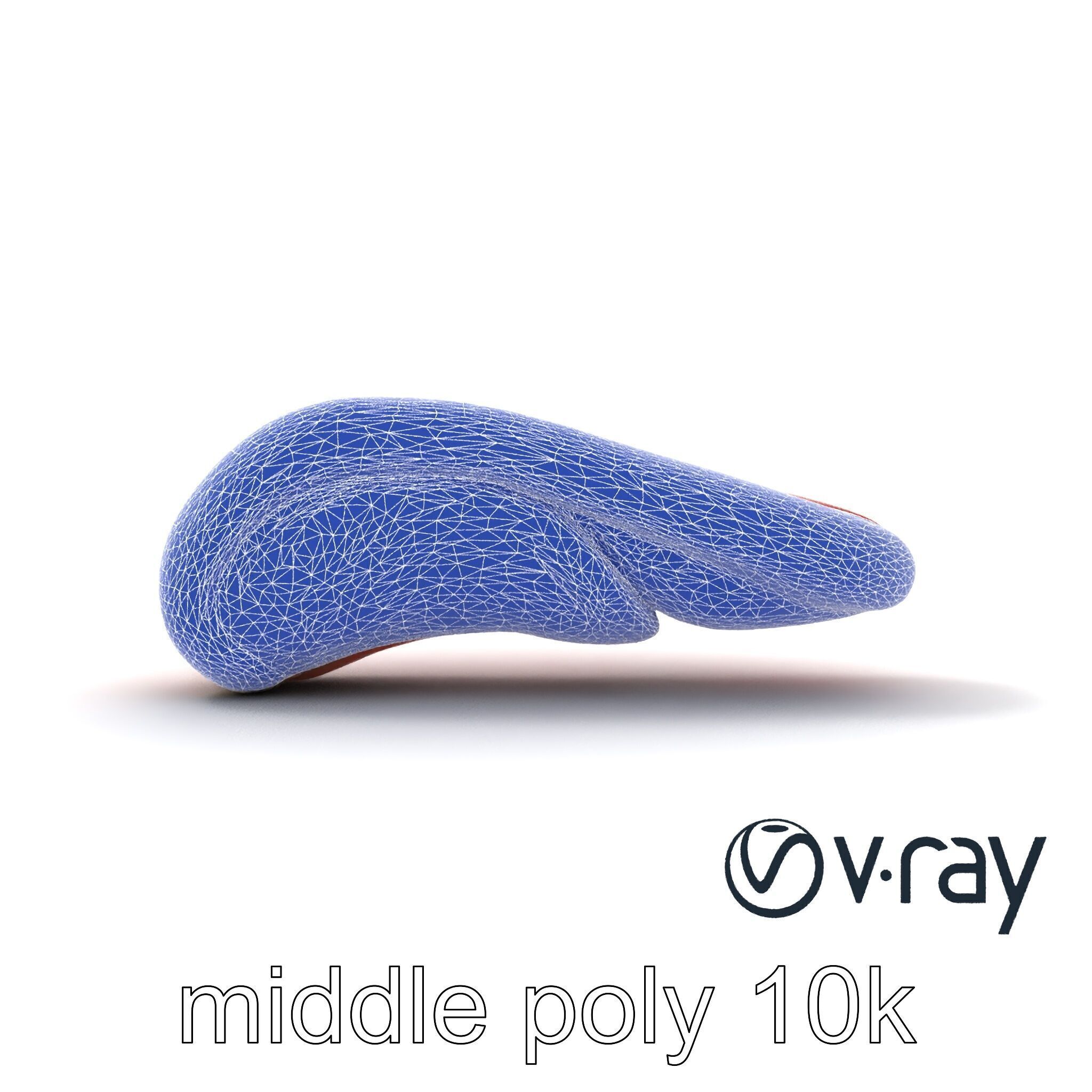 Anatomical Tongue 3D model pack with realistic texture Low-poly 3D model_25