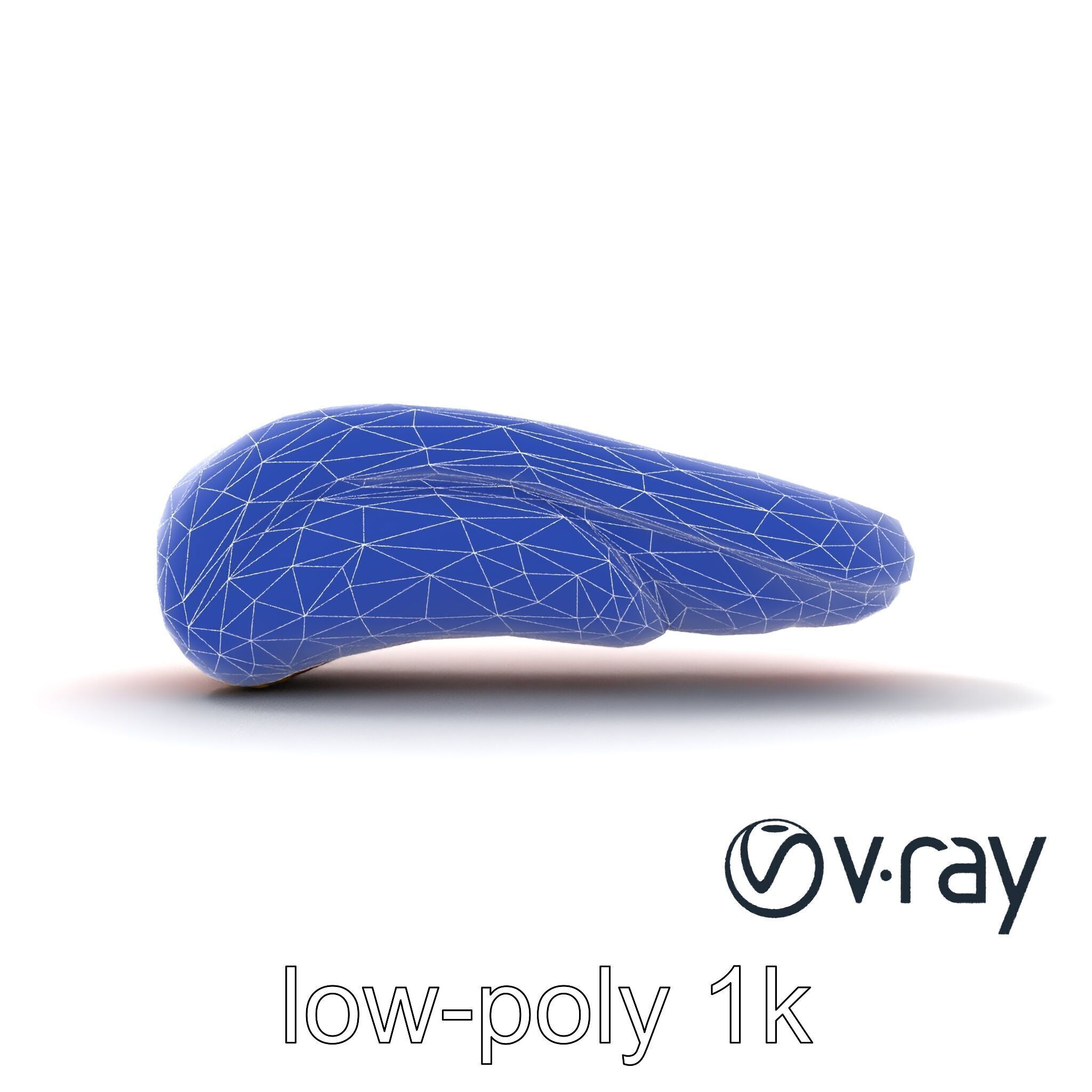 Anatomical Tongue 3D model pack with realistic texture Low-poly 3D model_17