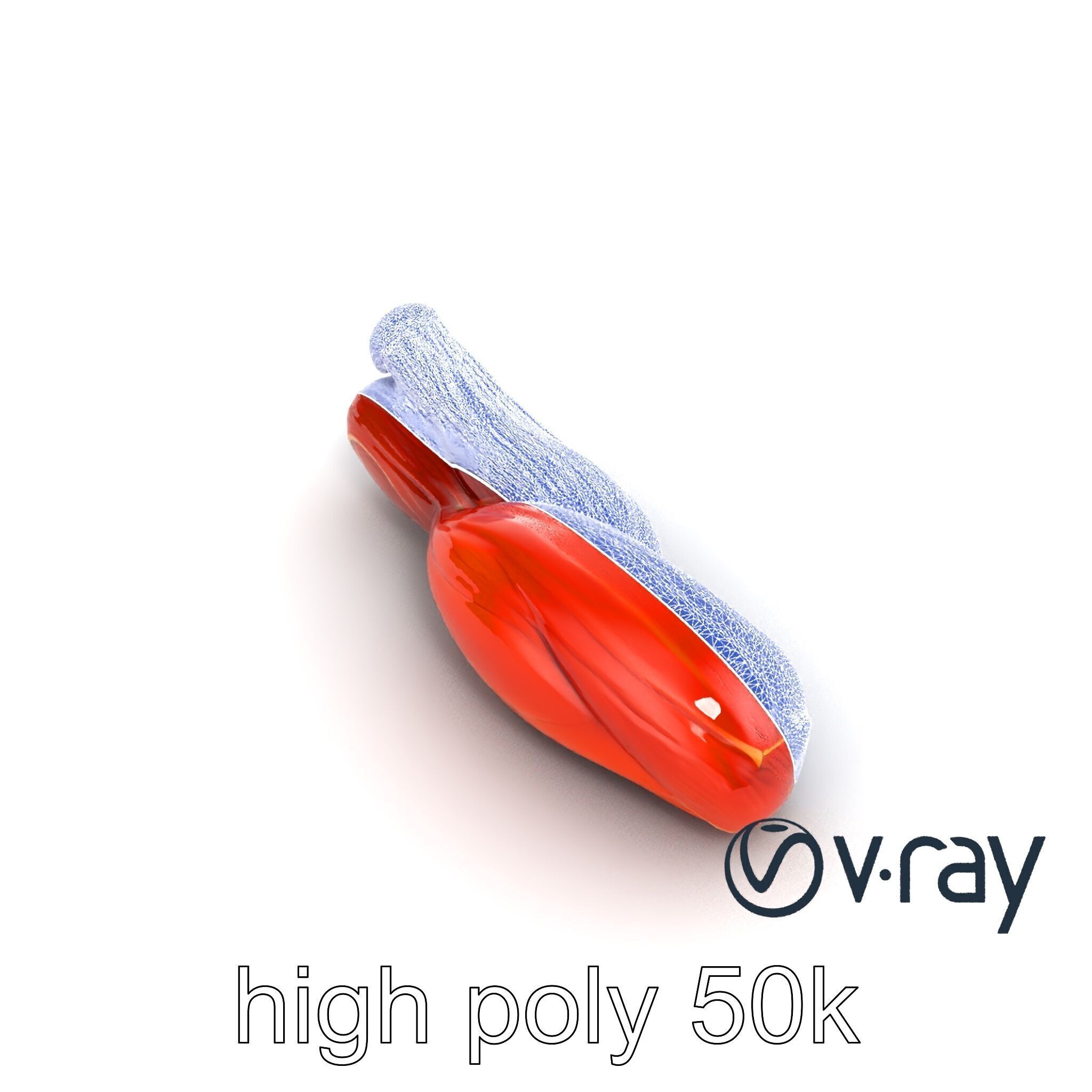Anatomical Muscle Fiber Structure model pack Low-poly 3D model_20