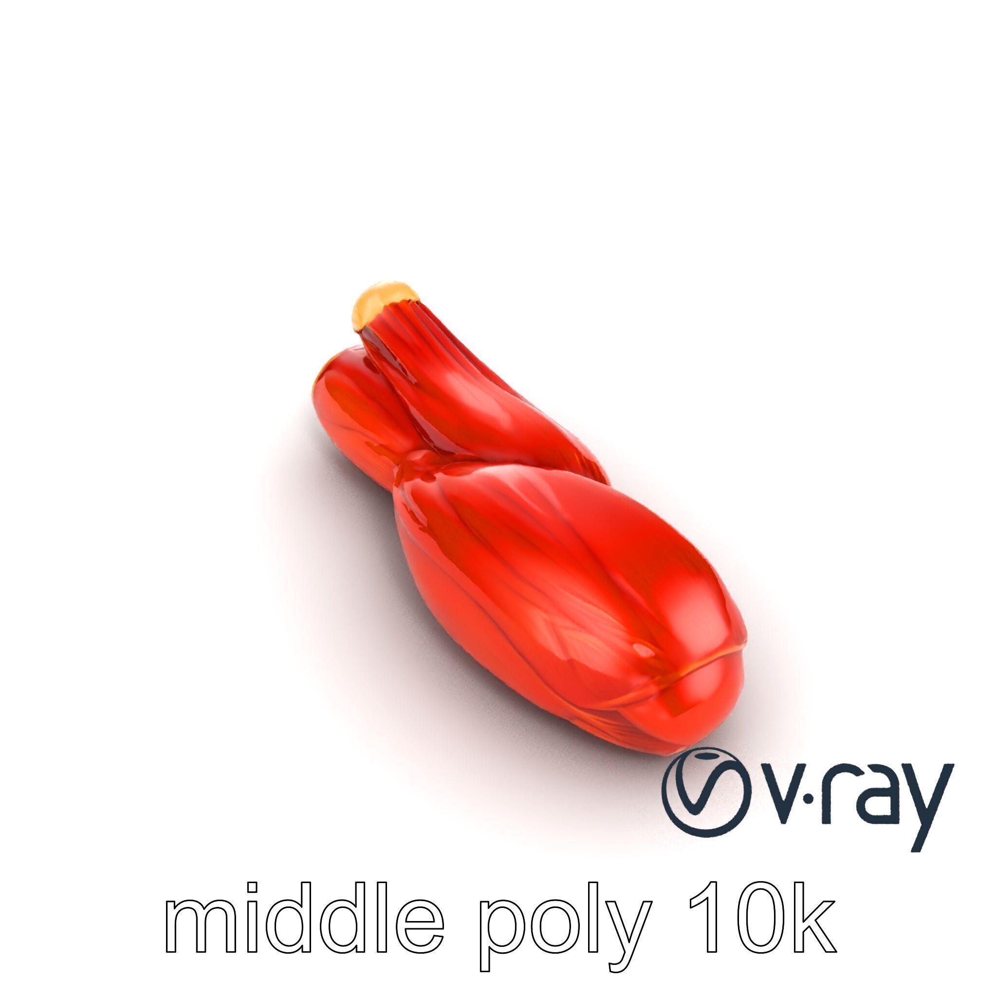 Anatomical Muscle Fiber Structure model pack Low-poly 3D model_22