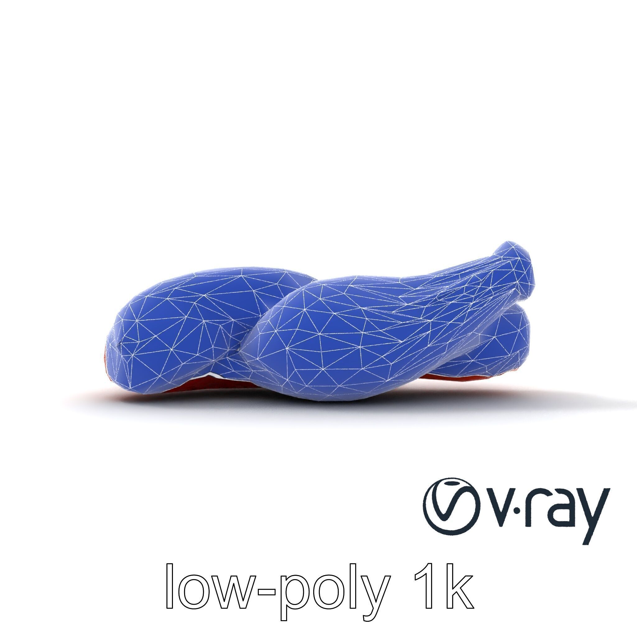 Anatomical Muscle Fiber Structure model pack Low-poly 3D model_25