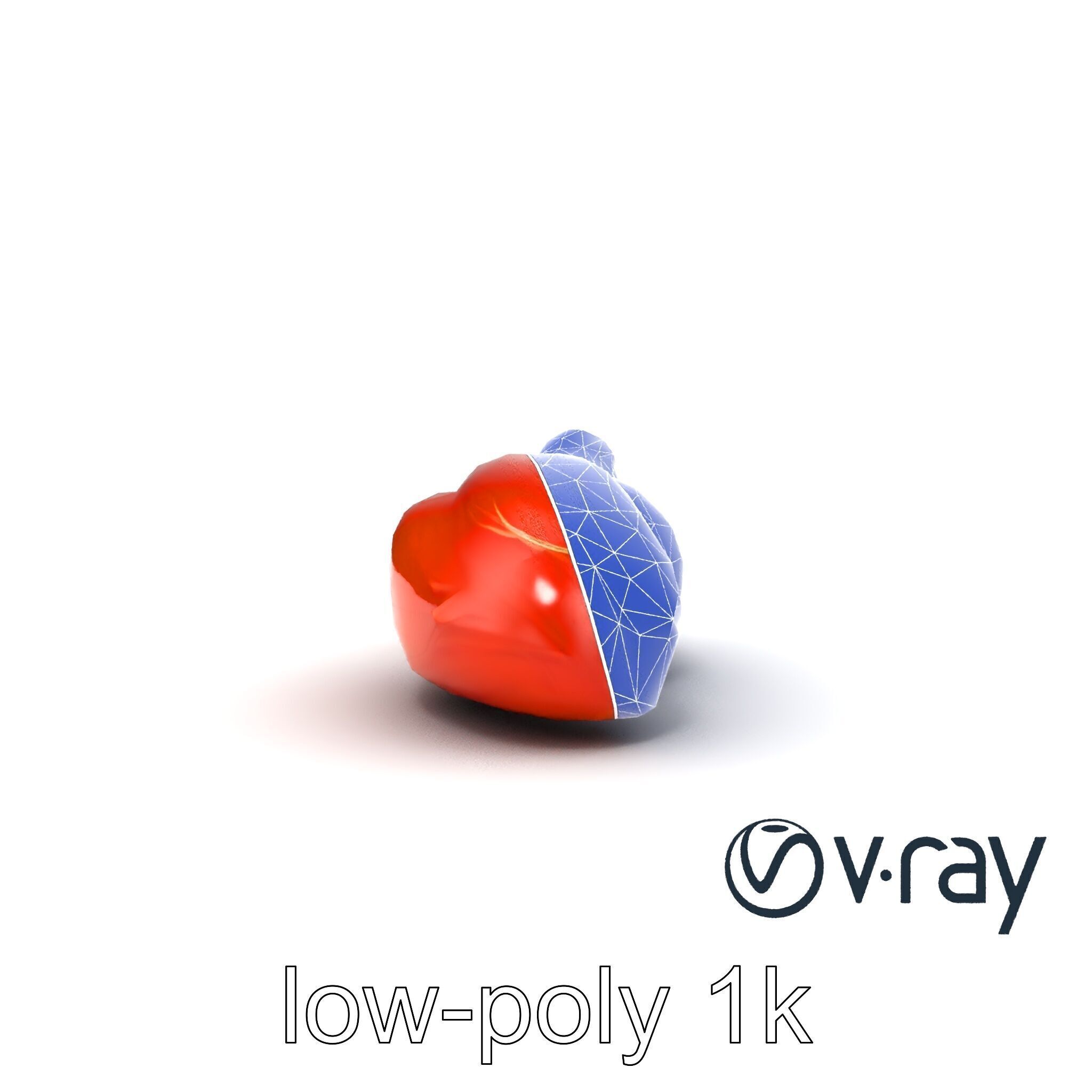 Anatomical Muscle Fiber Structure model pack Low-poly 3D model_13