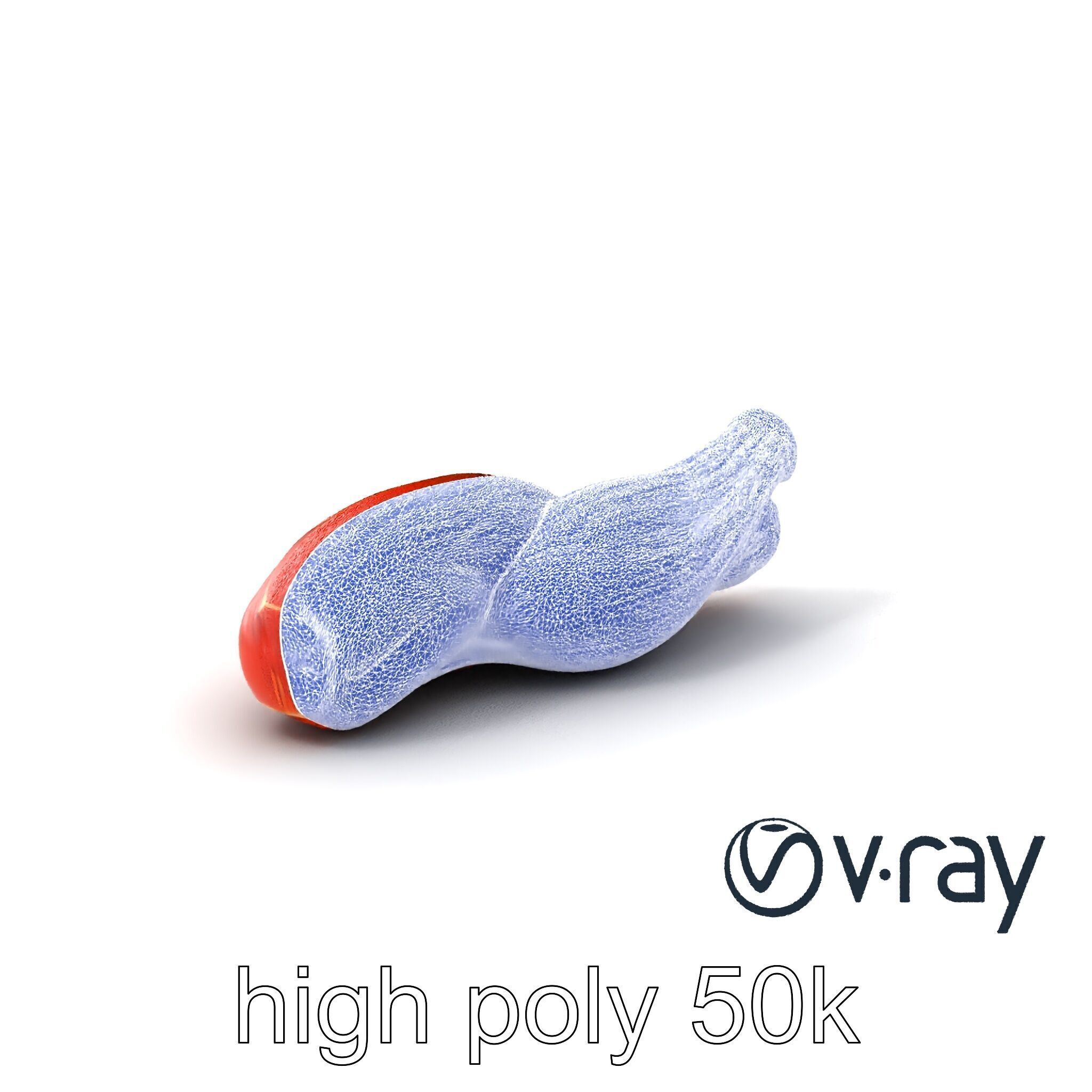 Anatomical Muscle Fiber Structure model pack Low-poly 3D model_27