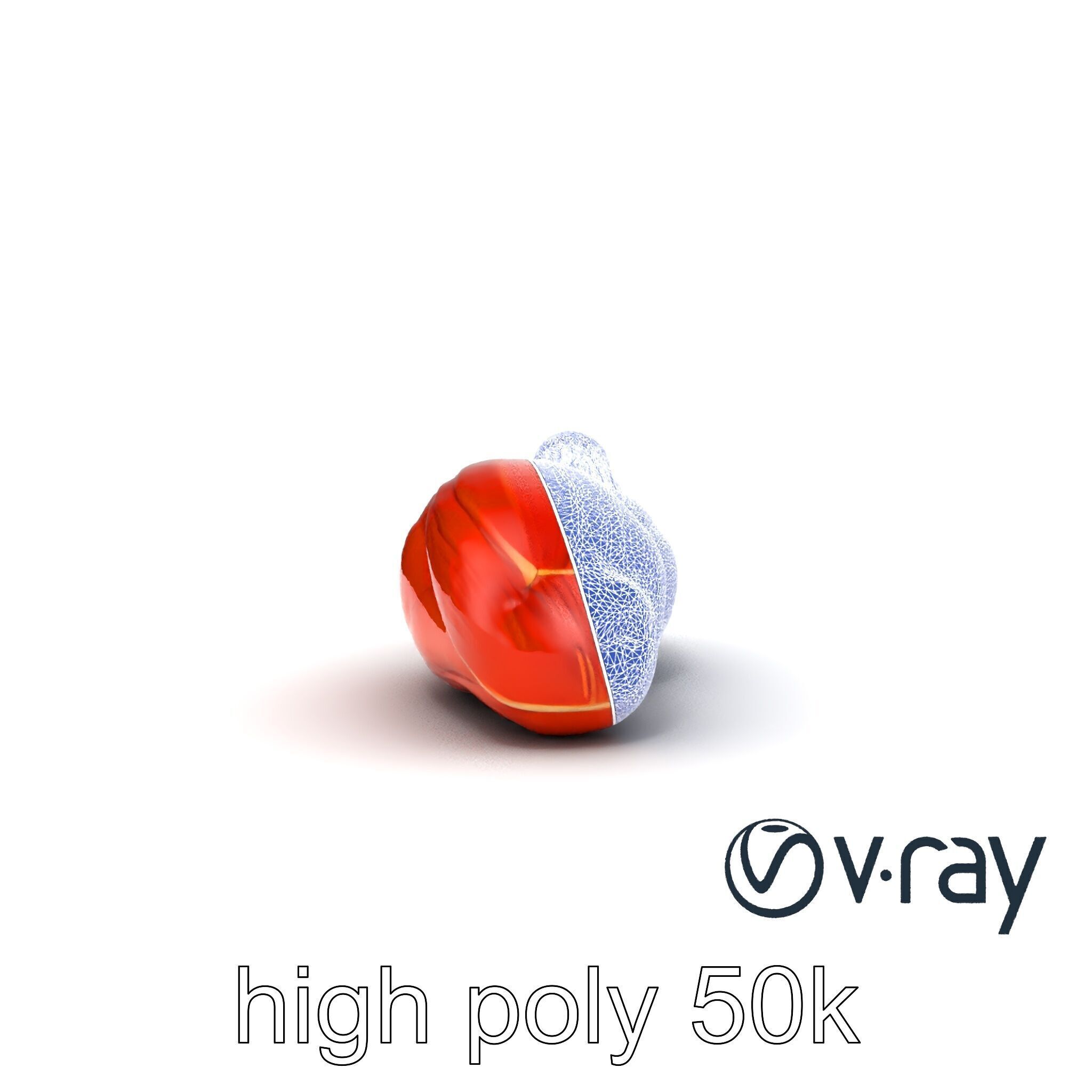 Anatomical Muscle Fiber Structure model pack Low-poly 3D model_15