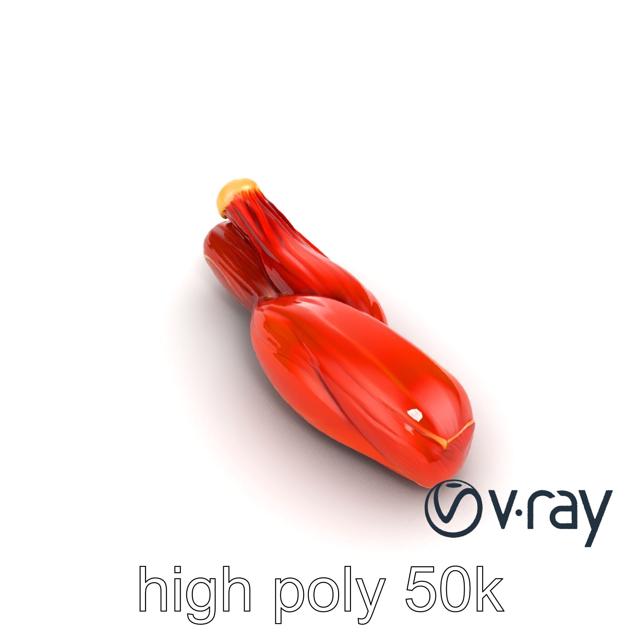 Anatomical Muscle Fiber Structure model pack Low-poly 3D model_11