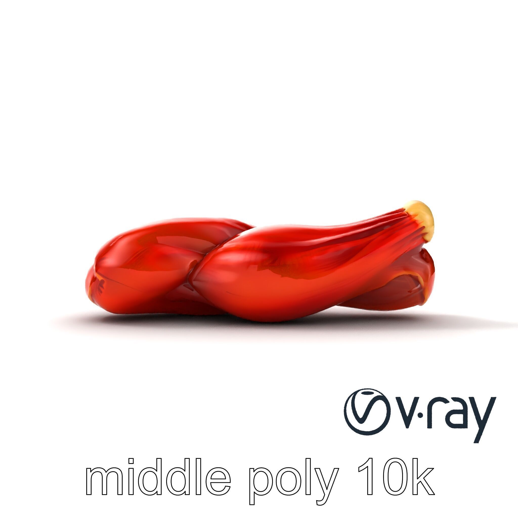 Anatomical Muscle Fiber Structure model pack Low-poly 3D model_19