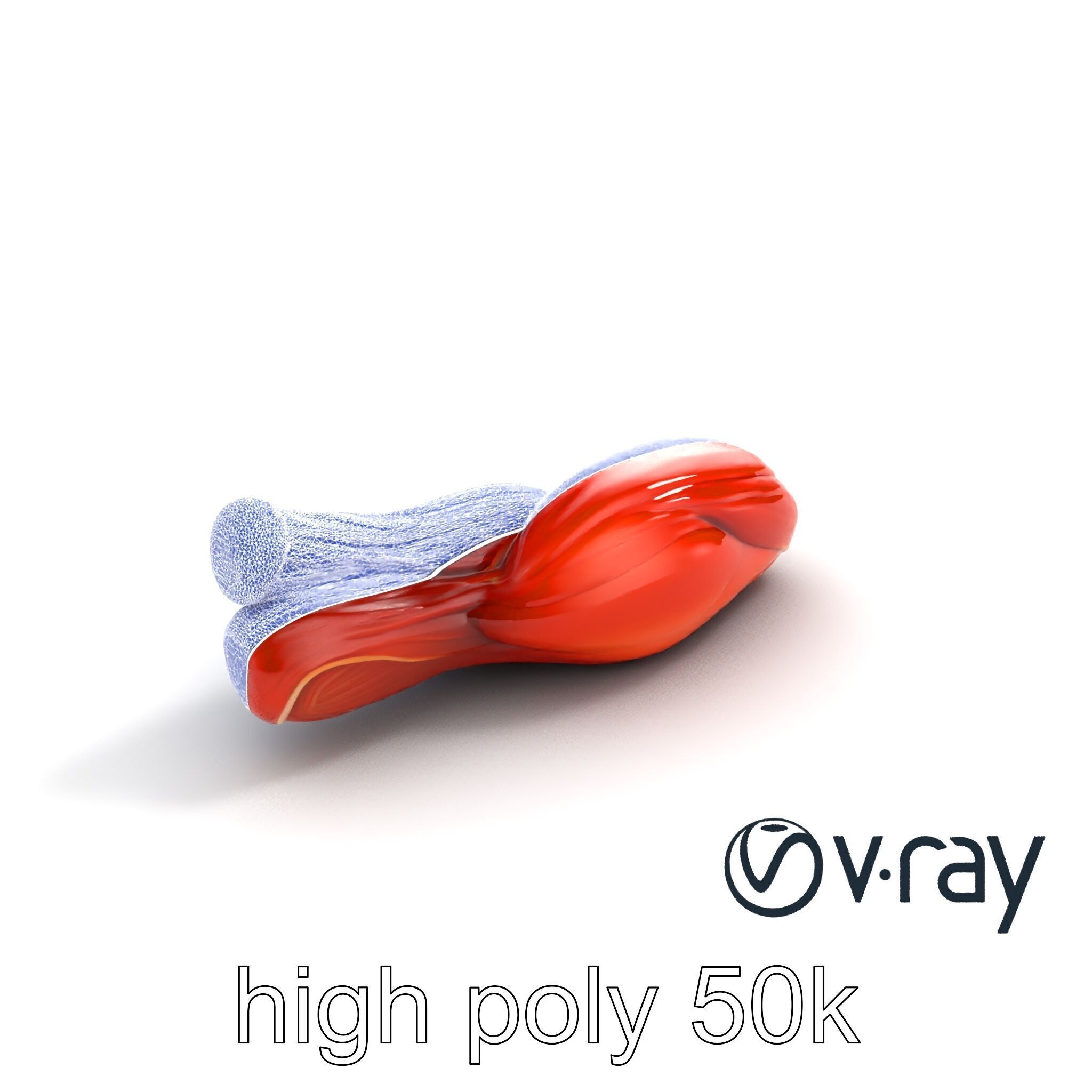 Anatomical Muscle Fiber Structure model pack Low-poly 3D model_21