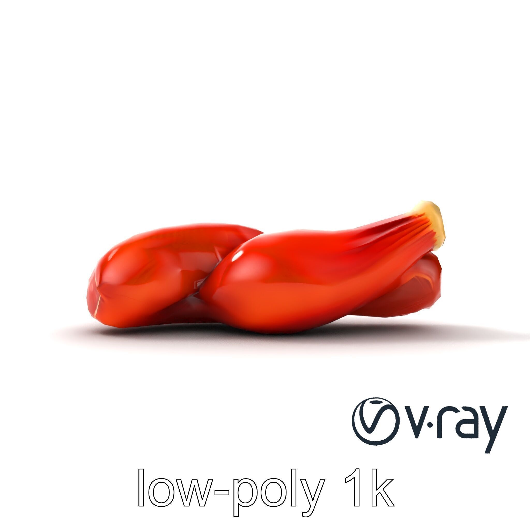 Anatomical Muscle Fiber Structure model pack Low-poly 3D model_16