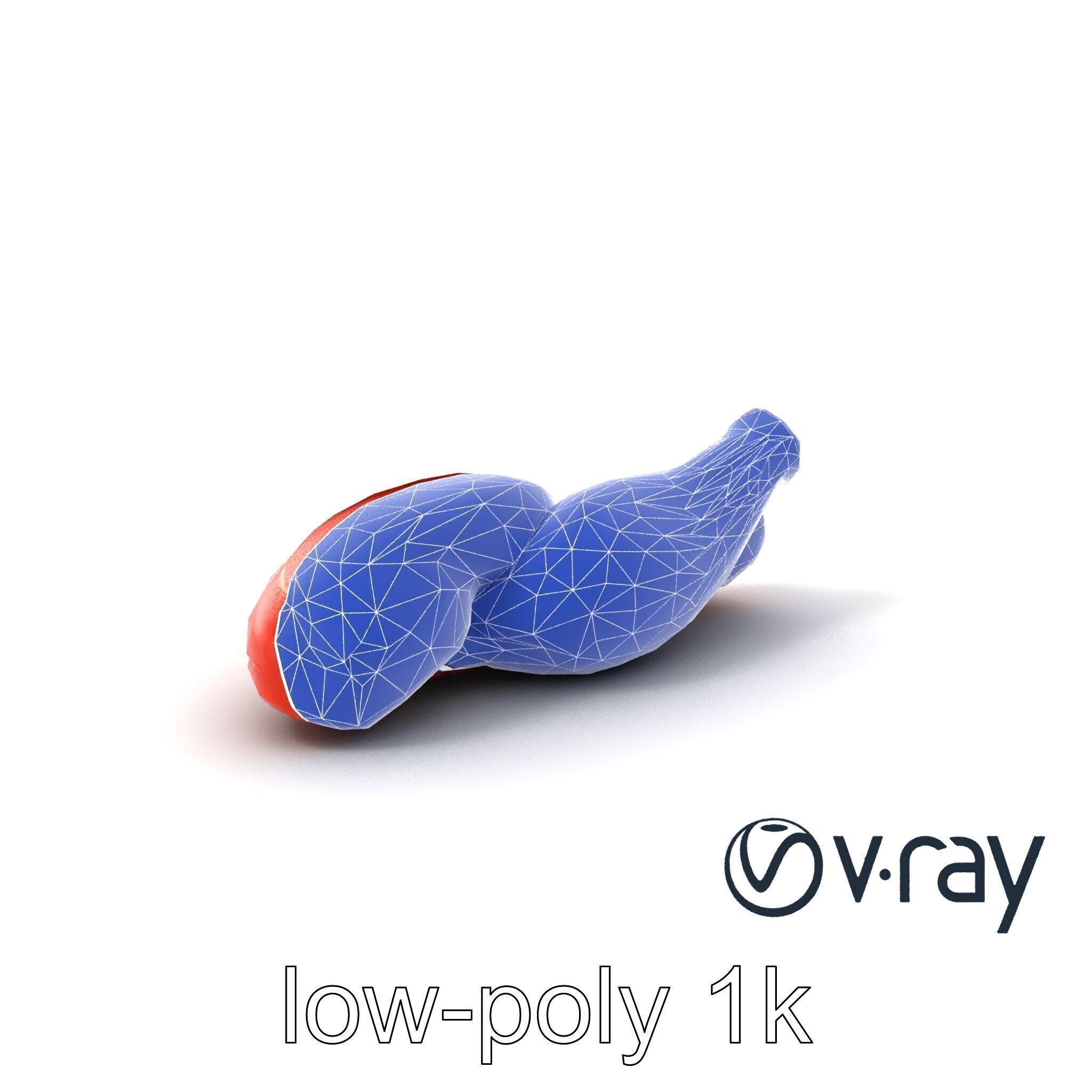 Anatomical Muscle Fiber Structure model pack Low-poly 3D model_10