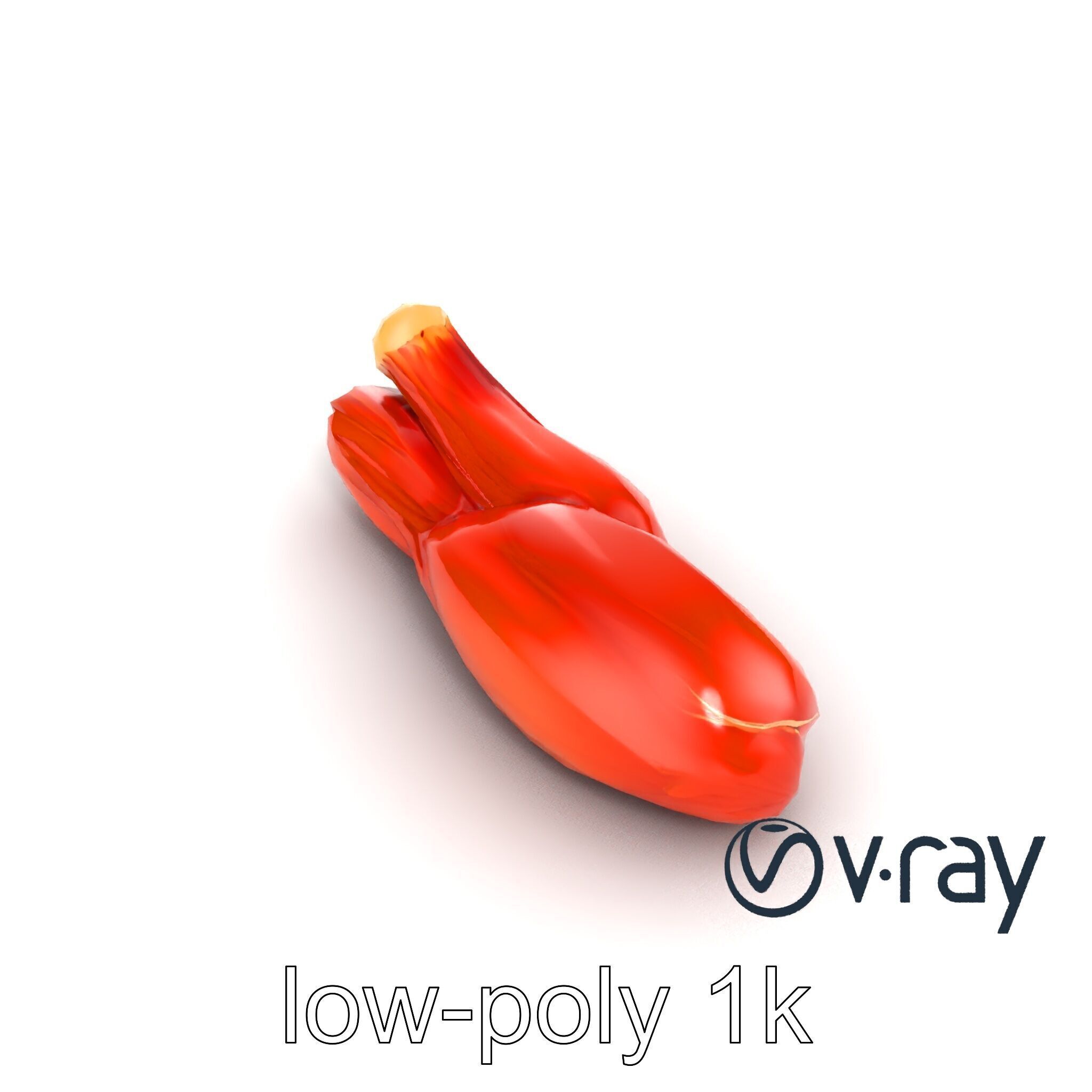 Anatomical Muscle Fiber Structure model pack Low-poly 3D model_30