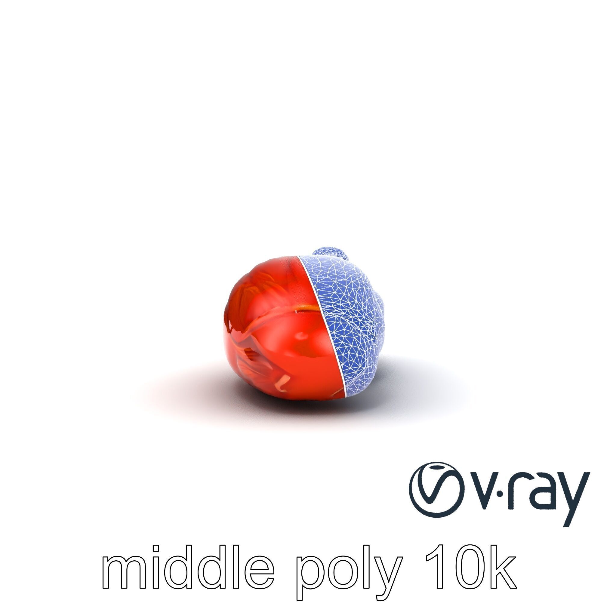 Anatomical Muscle Fiber Structure model pack Low-poly 3D model_23