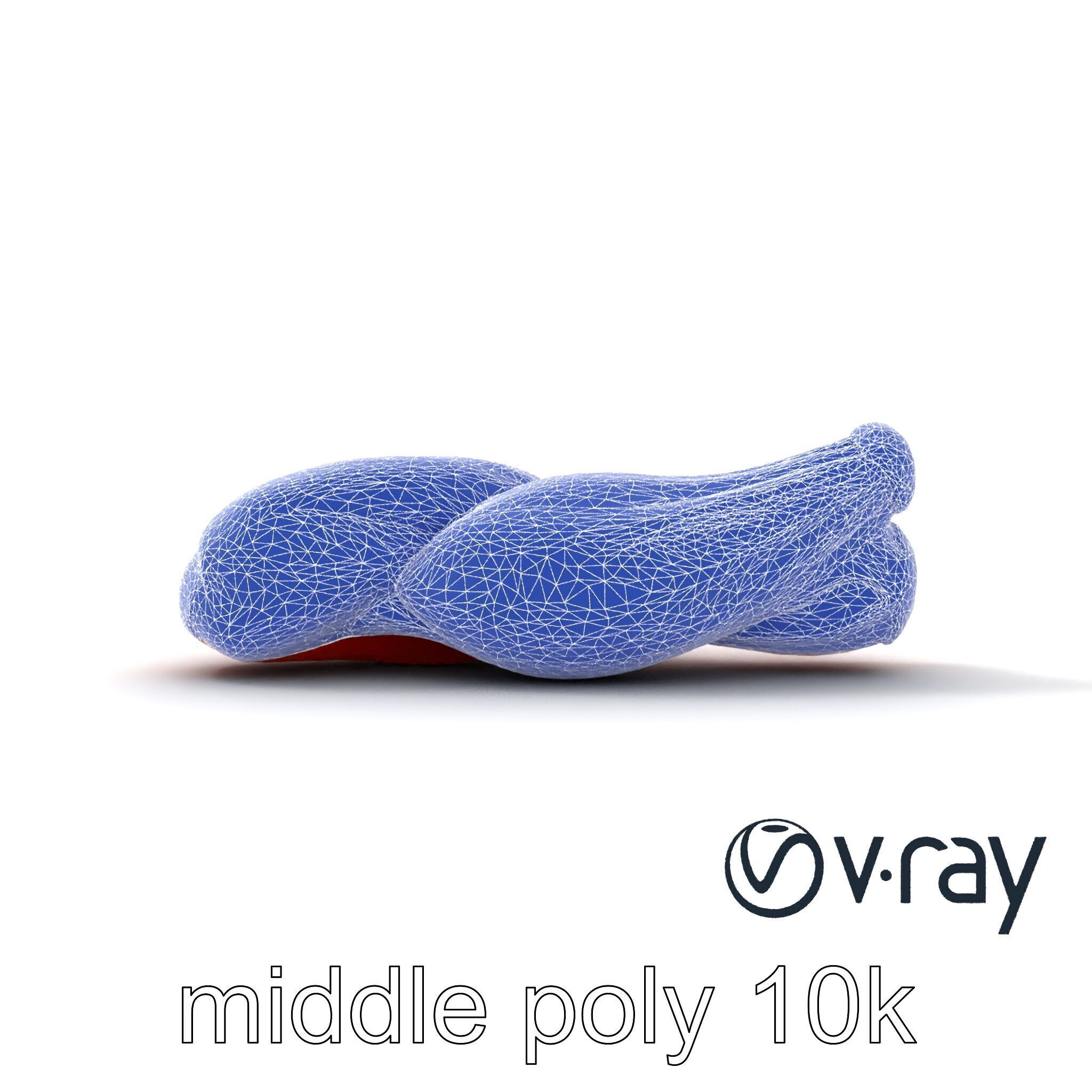 Anatomical Muscle Fiber Structure model pack Low-poly 3D model_28