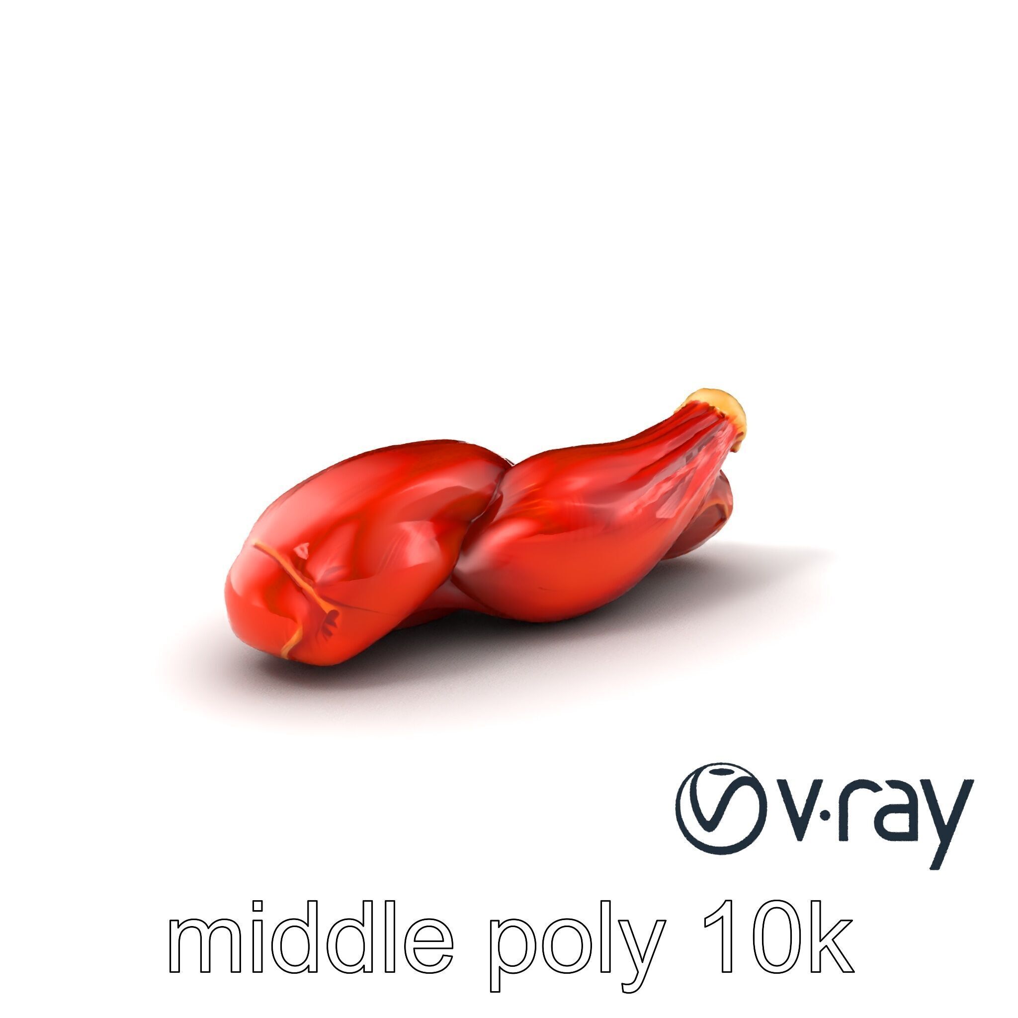 Anatomical Muscle Fiber Structure model pack Low-poly 3D model_3