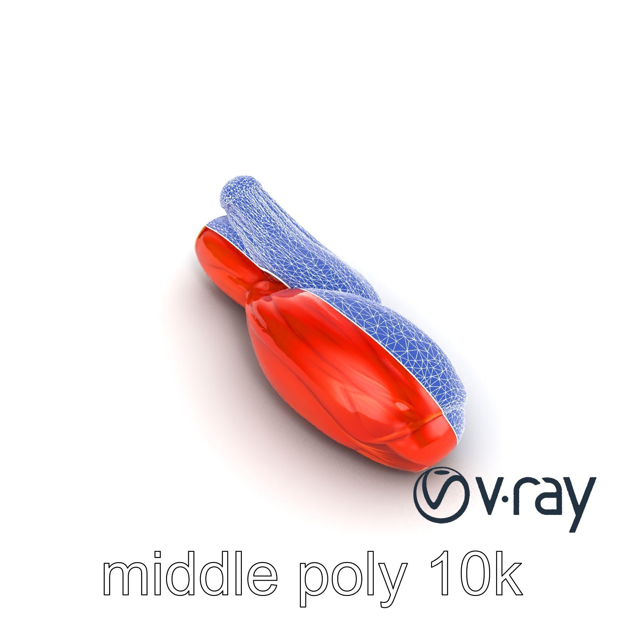 Anatomical Muscle Fiber Structure model pack Low-poly 3D model_29