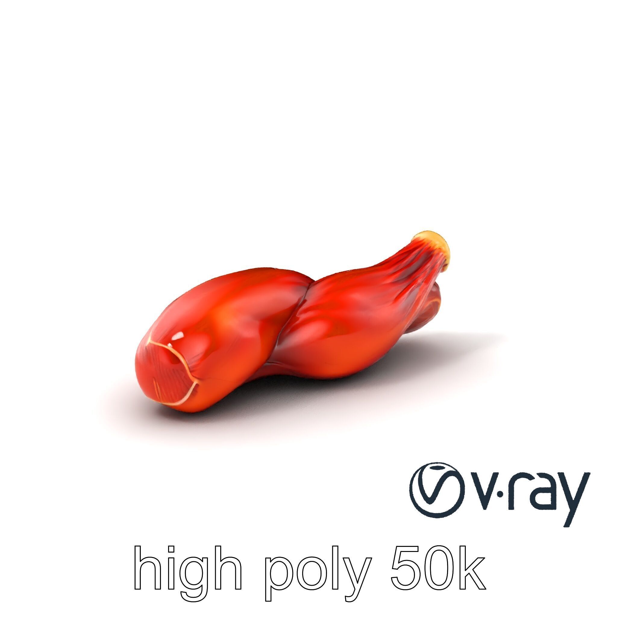 Anatomical Muscle Fiber Structure model pack Low-poly 3D model_5