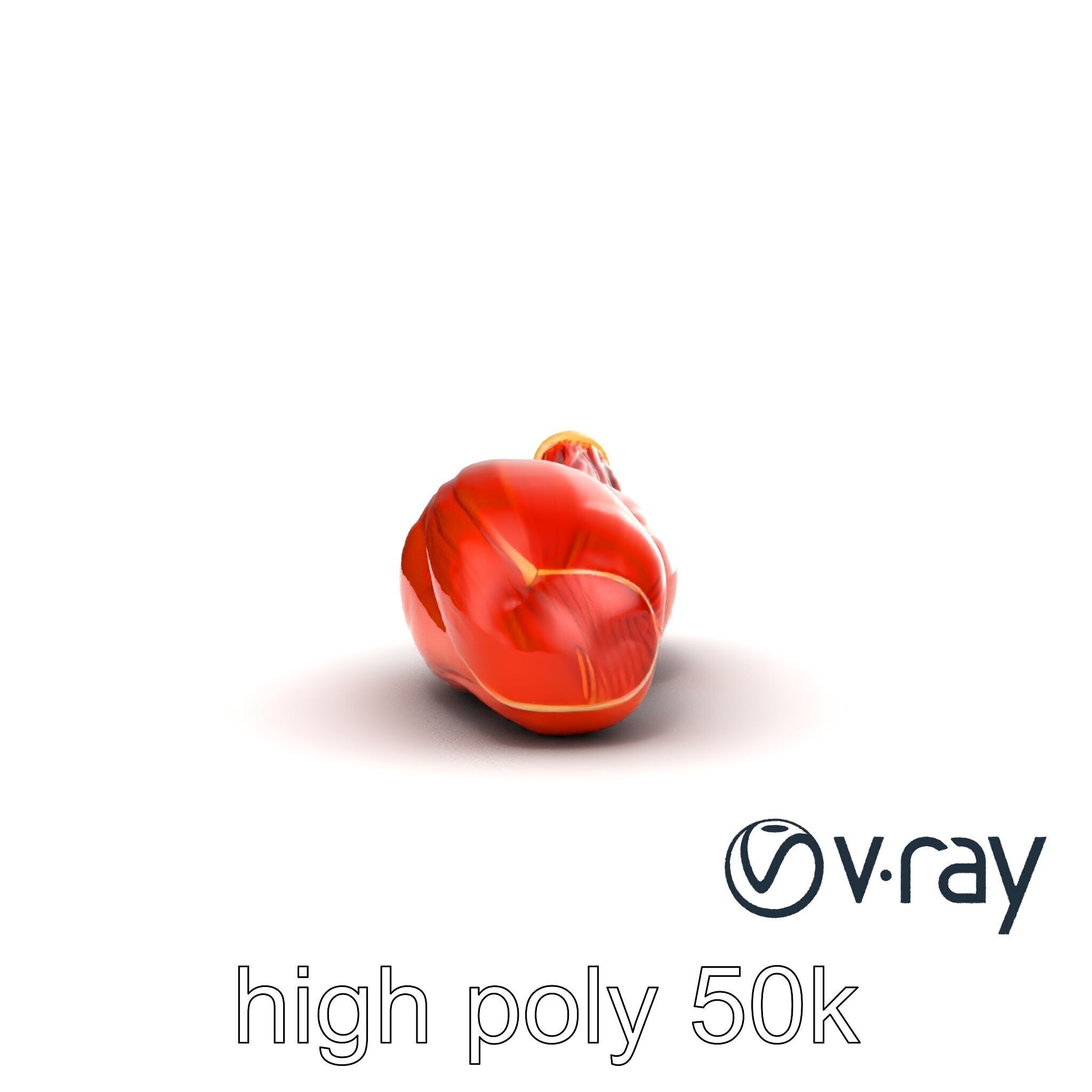 Anatomical Muscle Fiber Structure model pack Low-poly 3D model_18