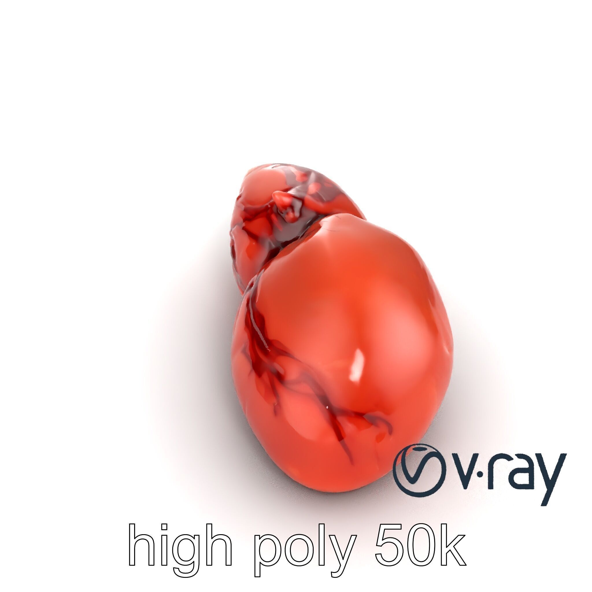 Human Liver with Vessels Anatomical Model Pack Low-poly 3D model_11