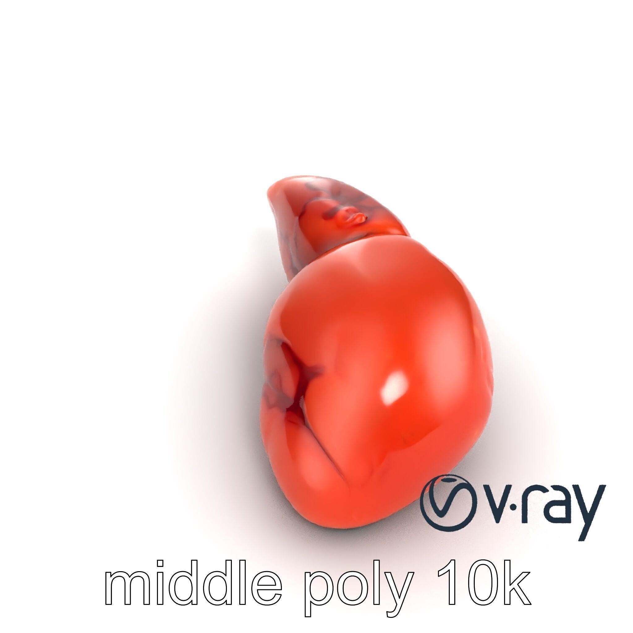 Human Liver with Vessels Anatomical Model Pack Low-poly 3D model_14