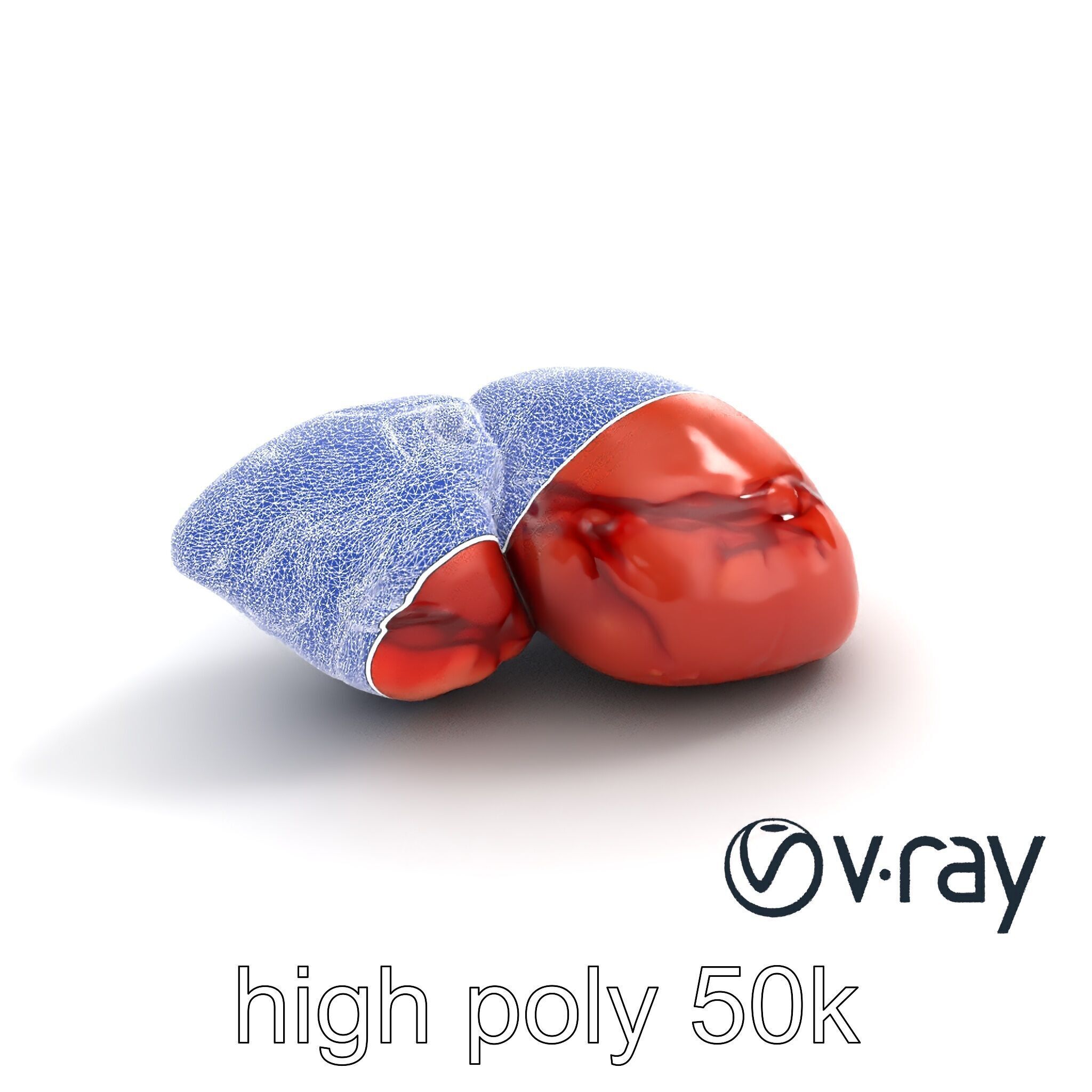 Human Liver with Vessels Anatomical Model Pack Low-poly 3D model_31