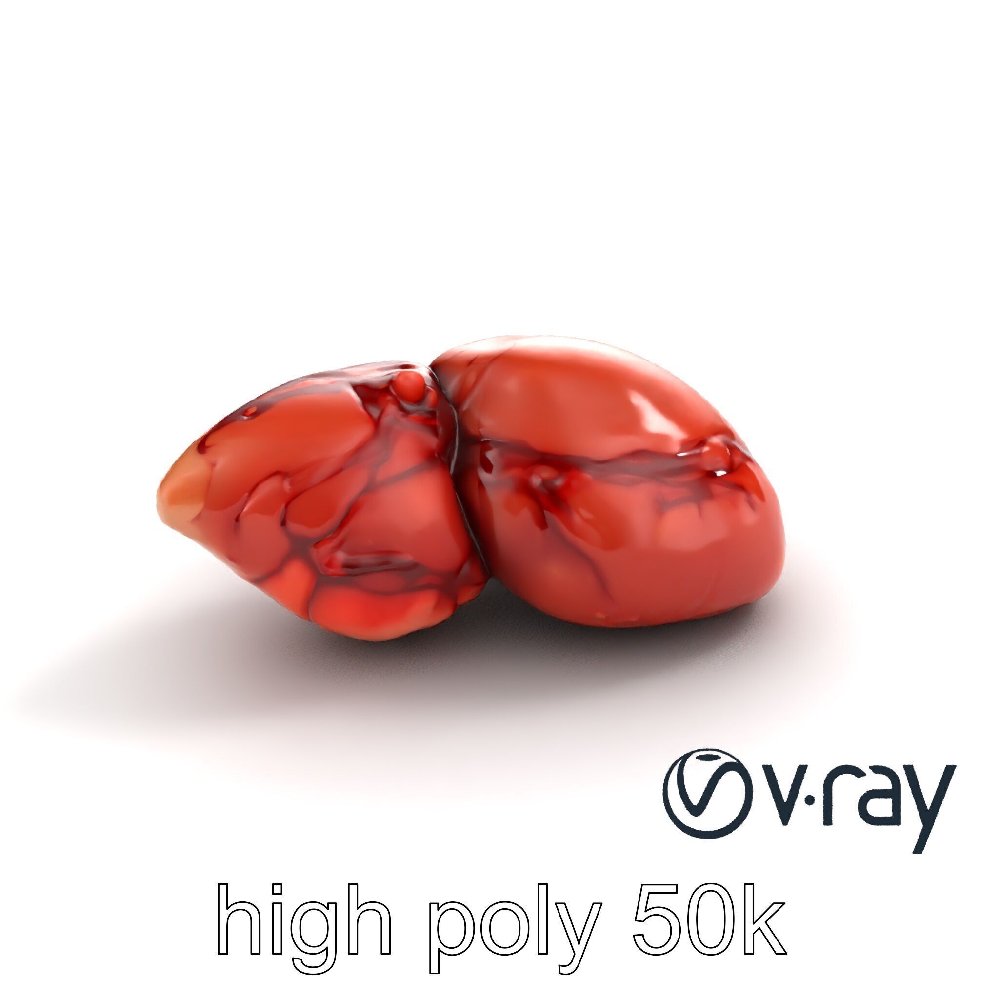 Human Liver with Vessels Anatomical Model Pack Low-poly 3D model_8