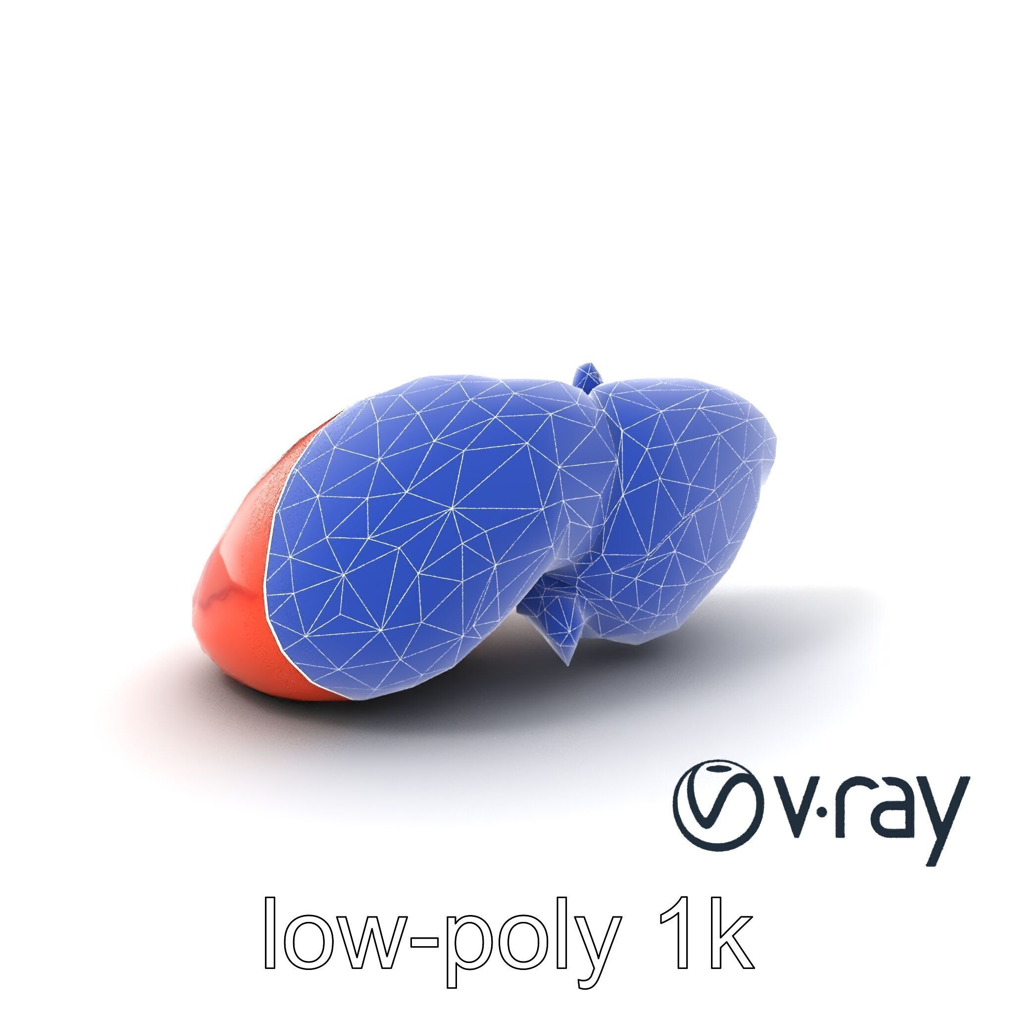 Human Liver with Vessels Anatomical Model Pack Low-poly 3D model_10
