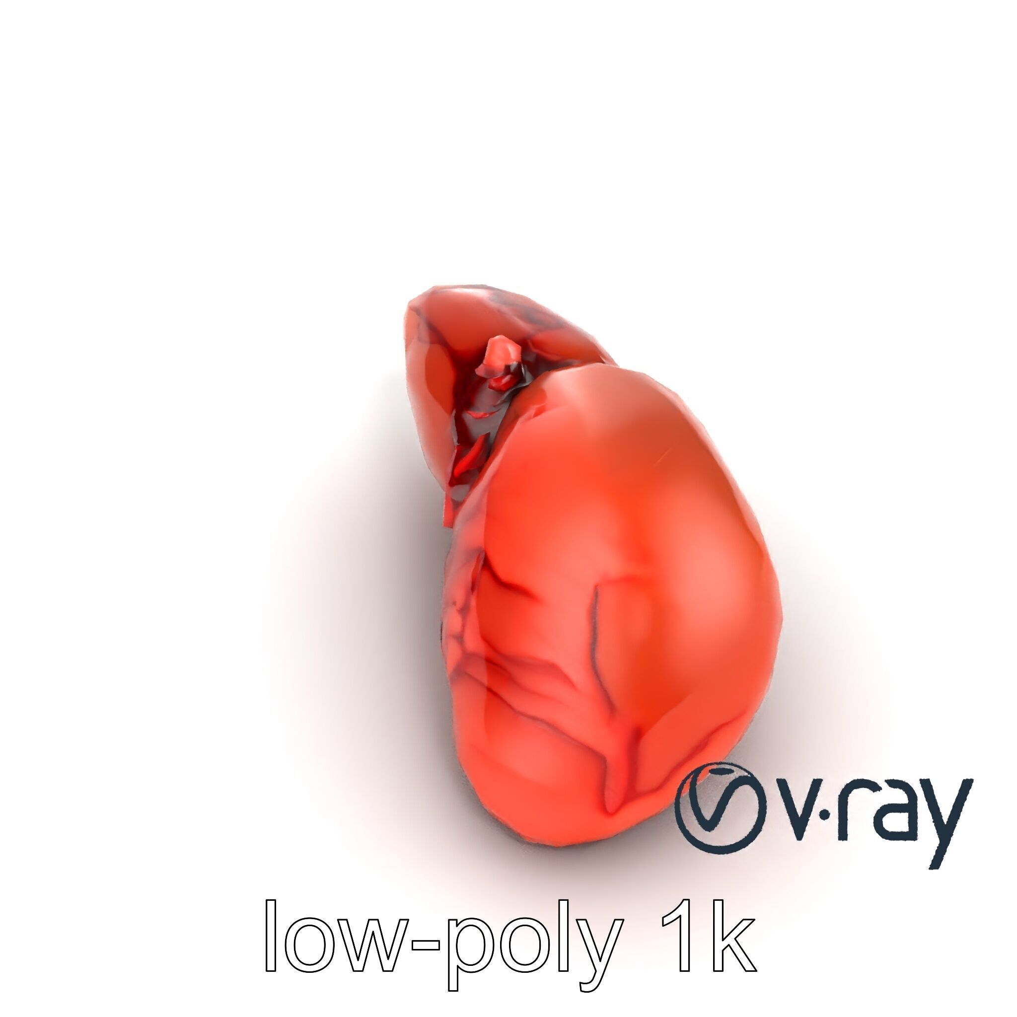 Human Liver with Vessels Anatomical Model Pack Low-poly 3D model_18