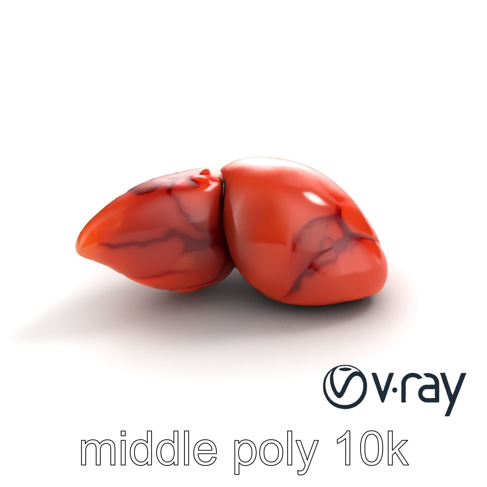 Human Liver with Vessels Anatomical Model Pack Low-poly 3D model_9