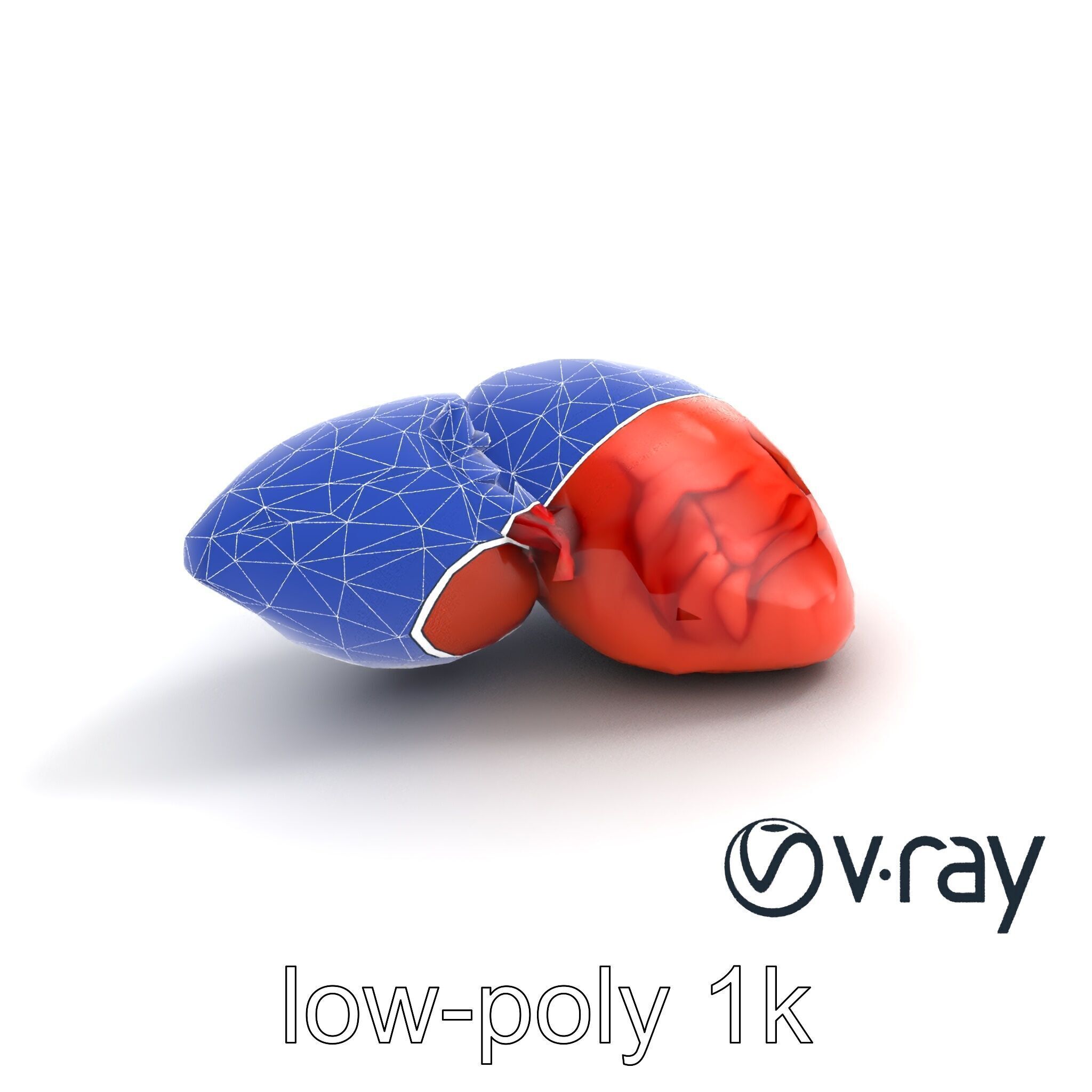 Human Liver with Vessels Anatomical Model Pack Low-poly 3D model_13