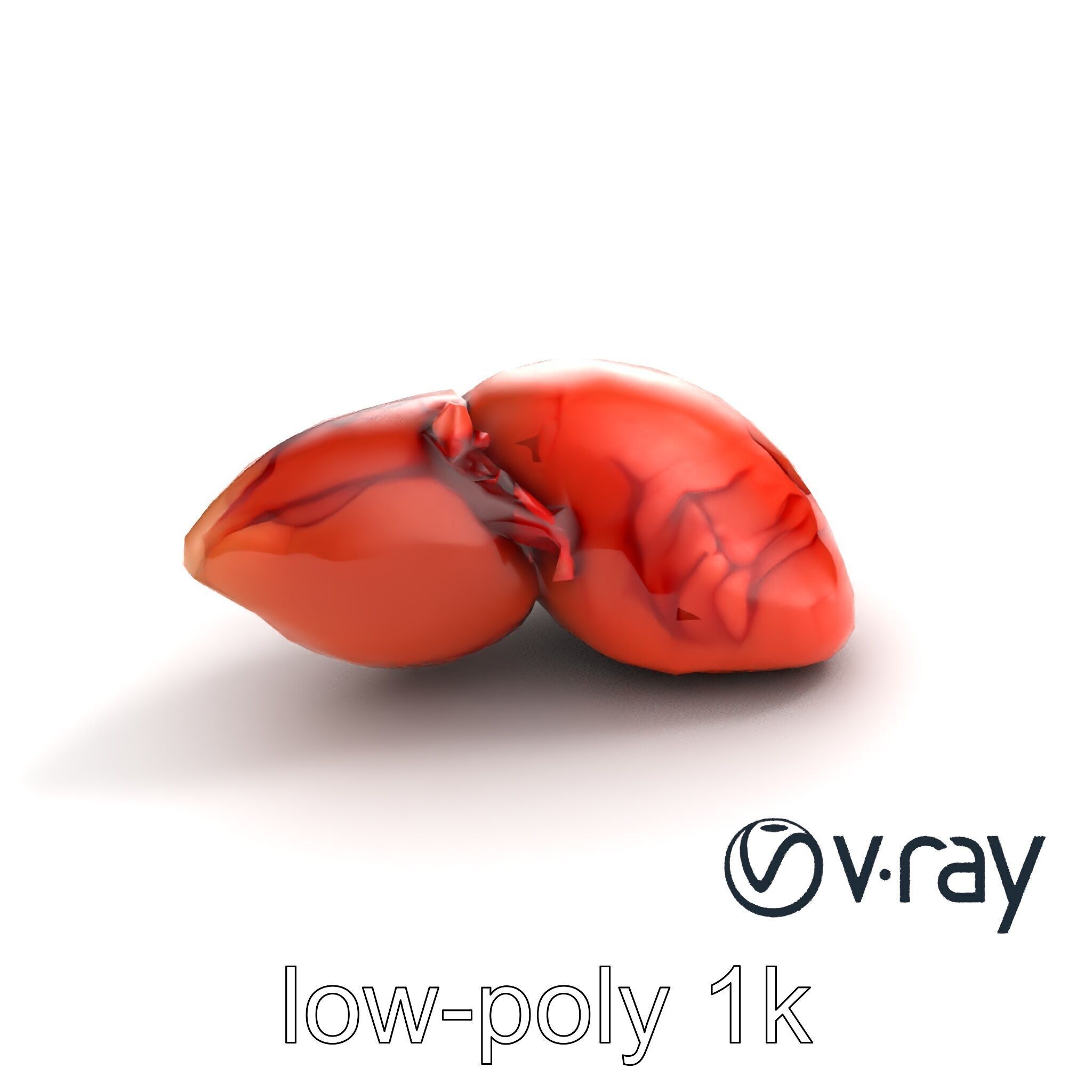 Human Liver with Vessels Anatomical Model Pack Low-poly 3D model_7