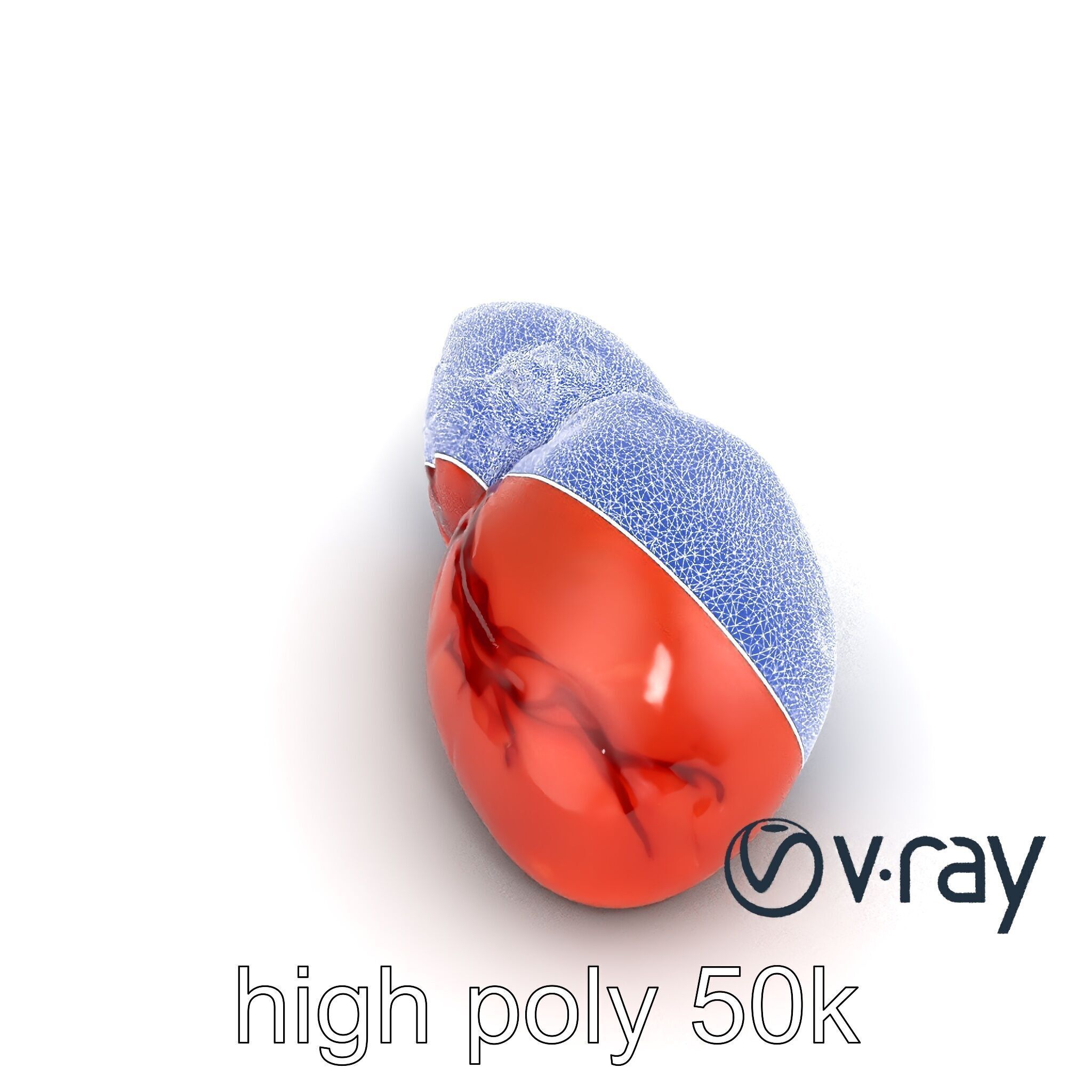 Human Liver with Vessels Anatomical Model Pack Low-poly 3D model_22