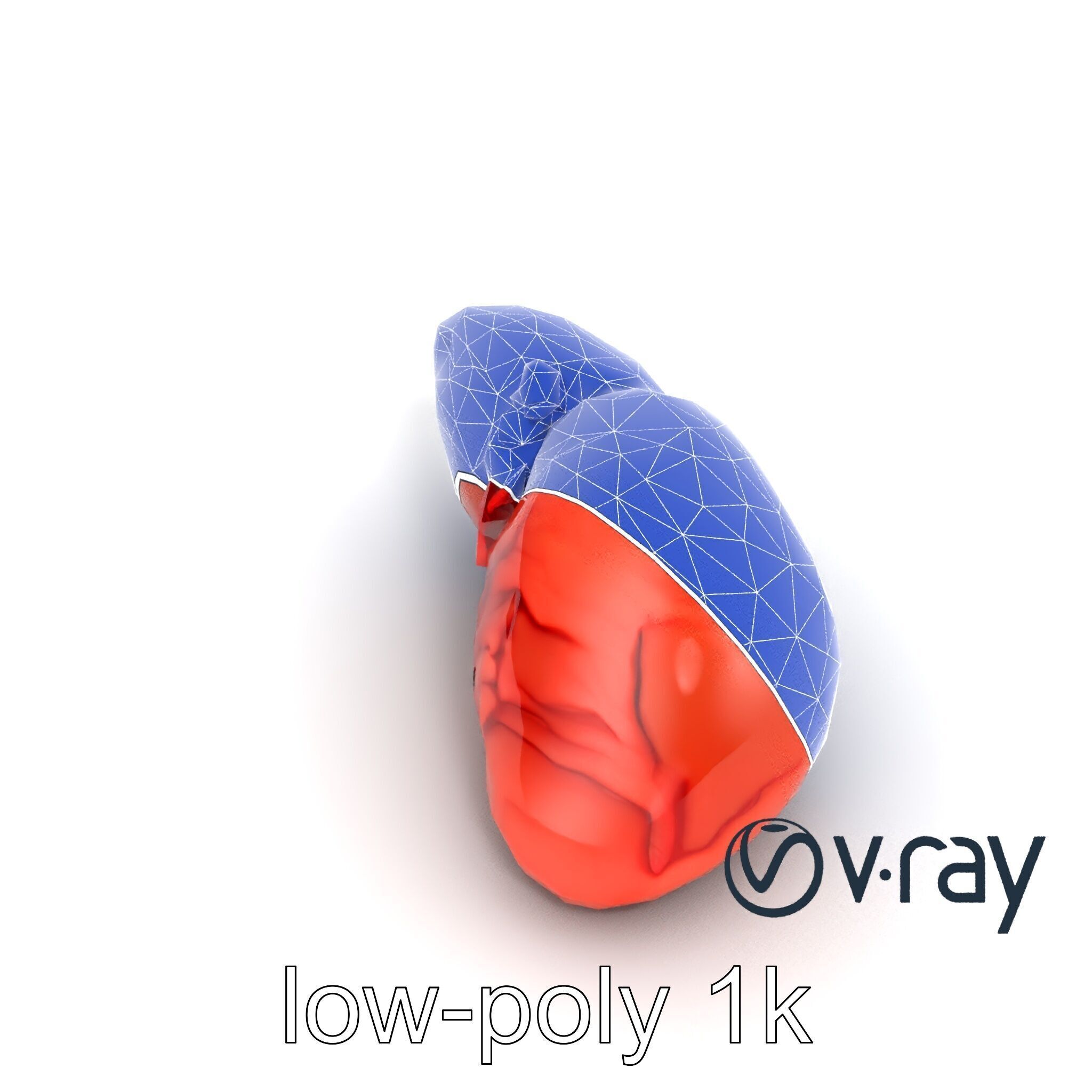 Human Liver with Vessels Anatomical Model Pack Low-poly 3D model_27