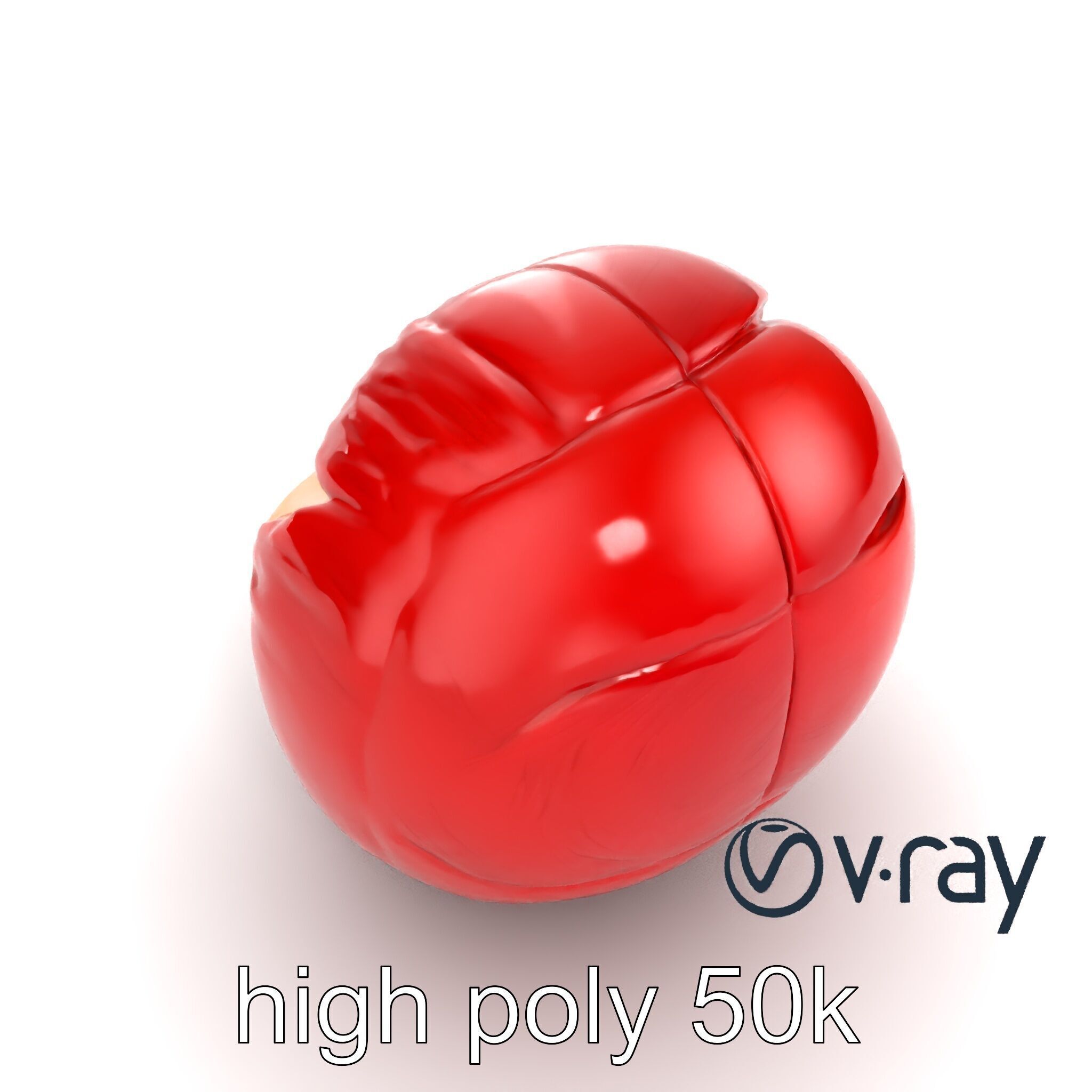 Realistic Human Kidney Anatomy model pack Low-poly 3D model_11