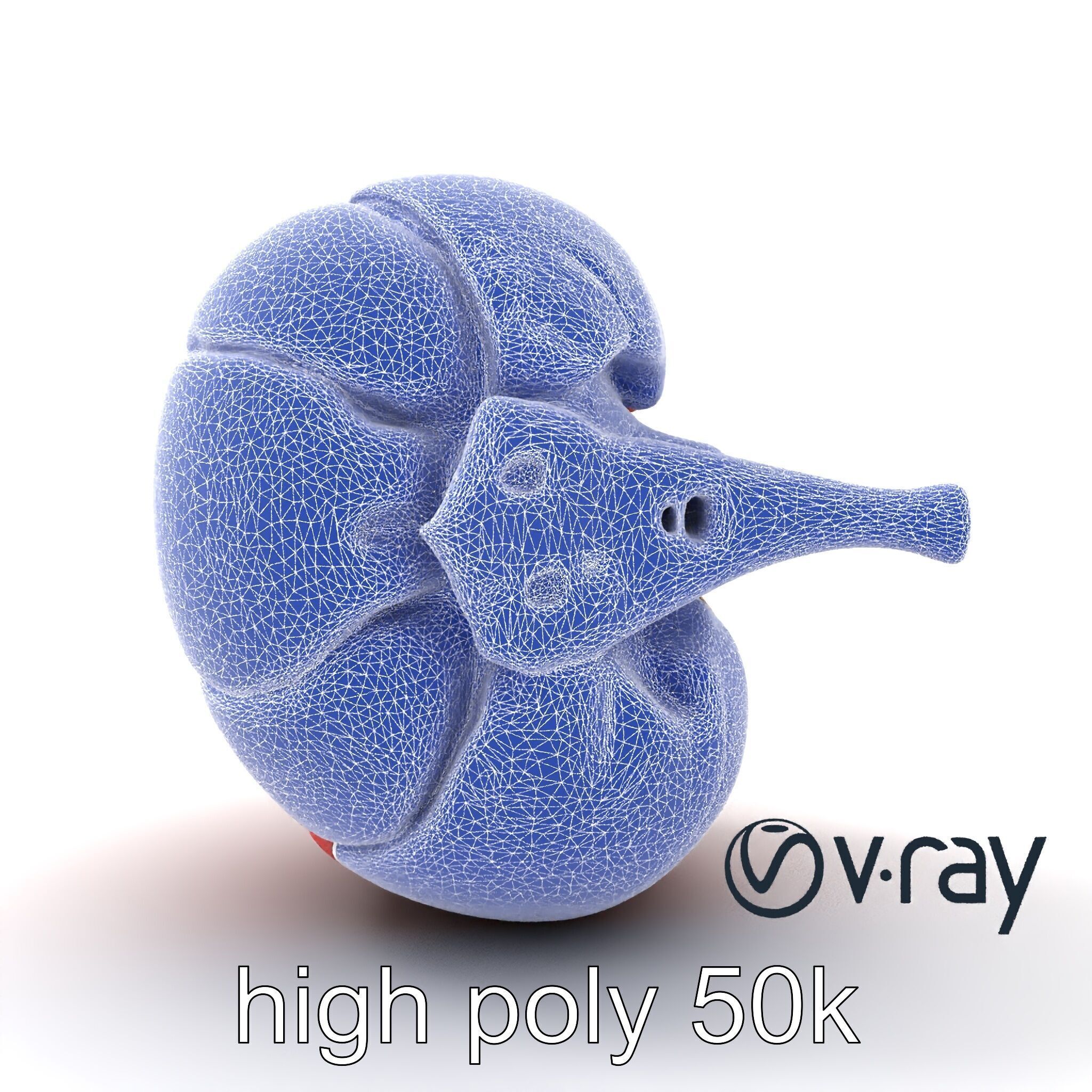 Realistic Human Kidney Anatomy model pack Low-poly 3D model_31