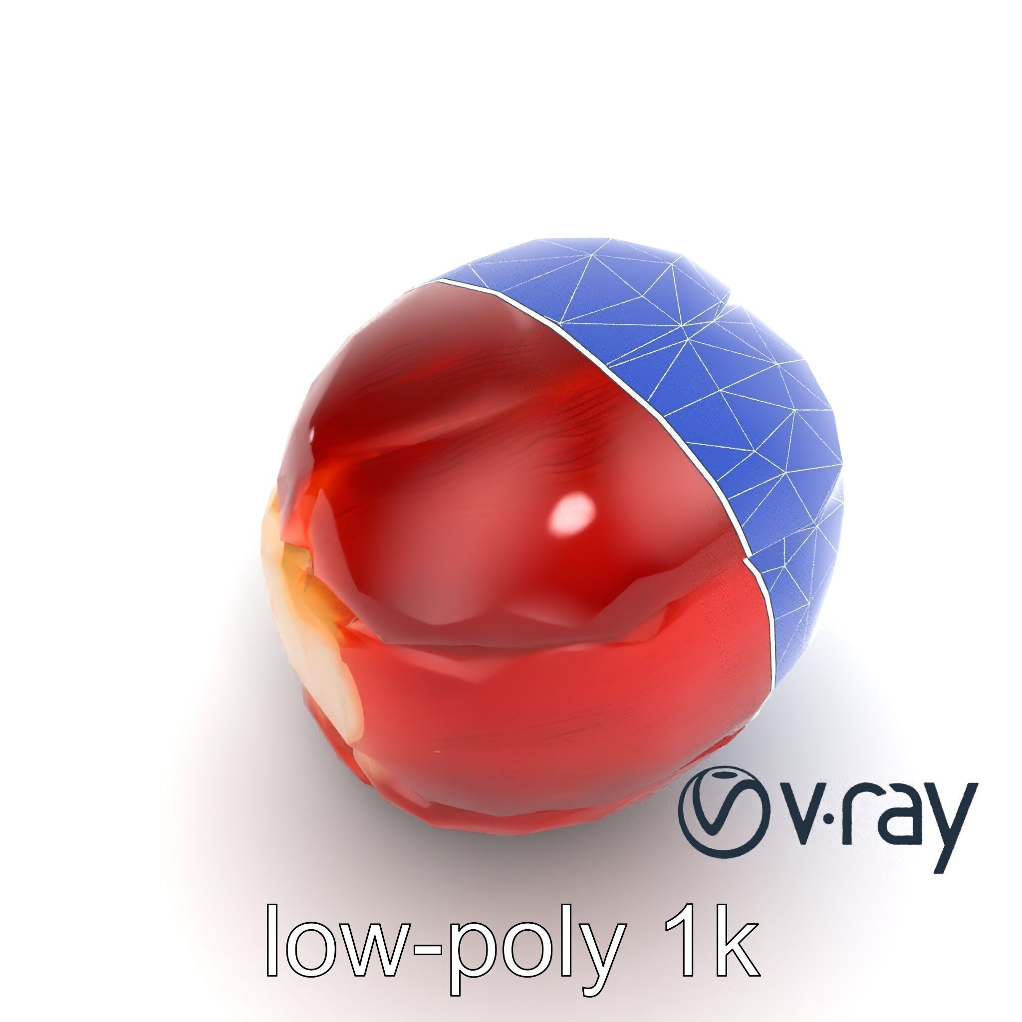 Realistic Human Kidney Anatomy model pack Low-poly 3D model_14