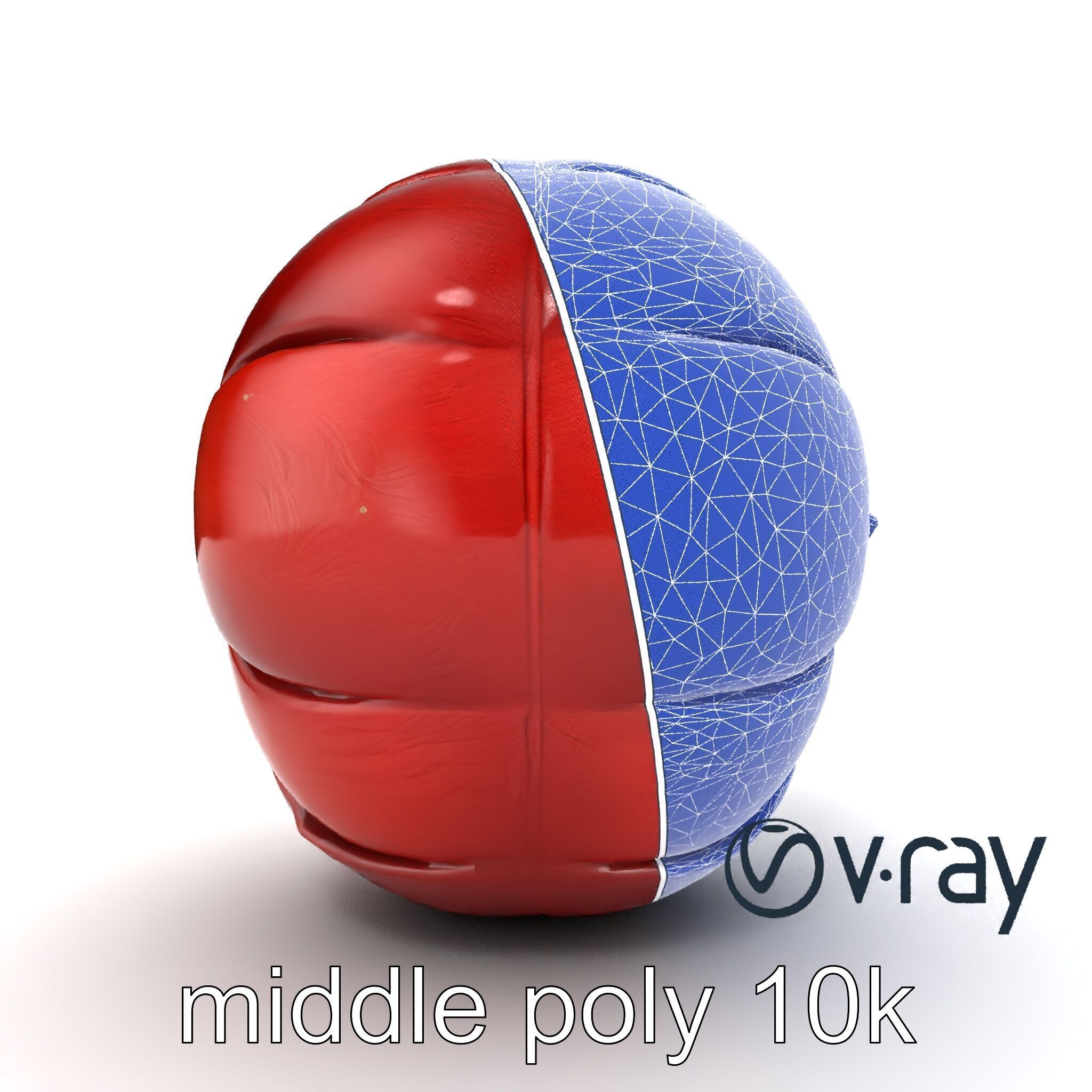 Realistic Human Kidney Anatomy model pack Low-poly 3D model_29