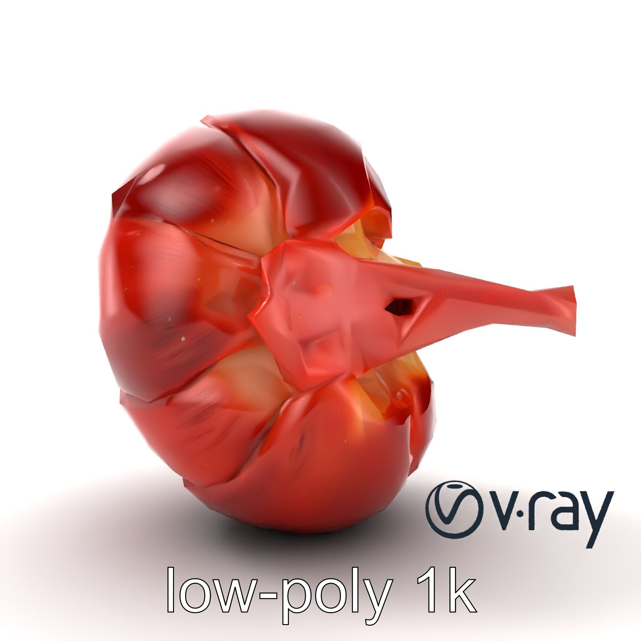 Realistic Human Kidney Anatomy model pack Low-poly 3D model_12
