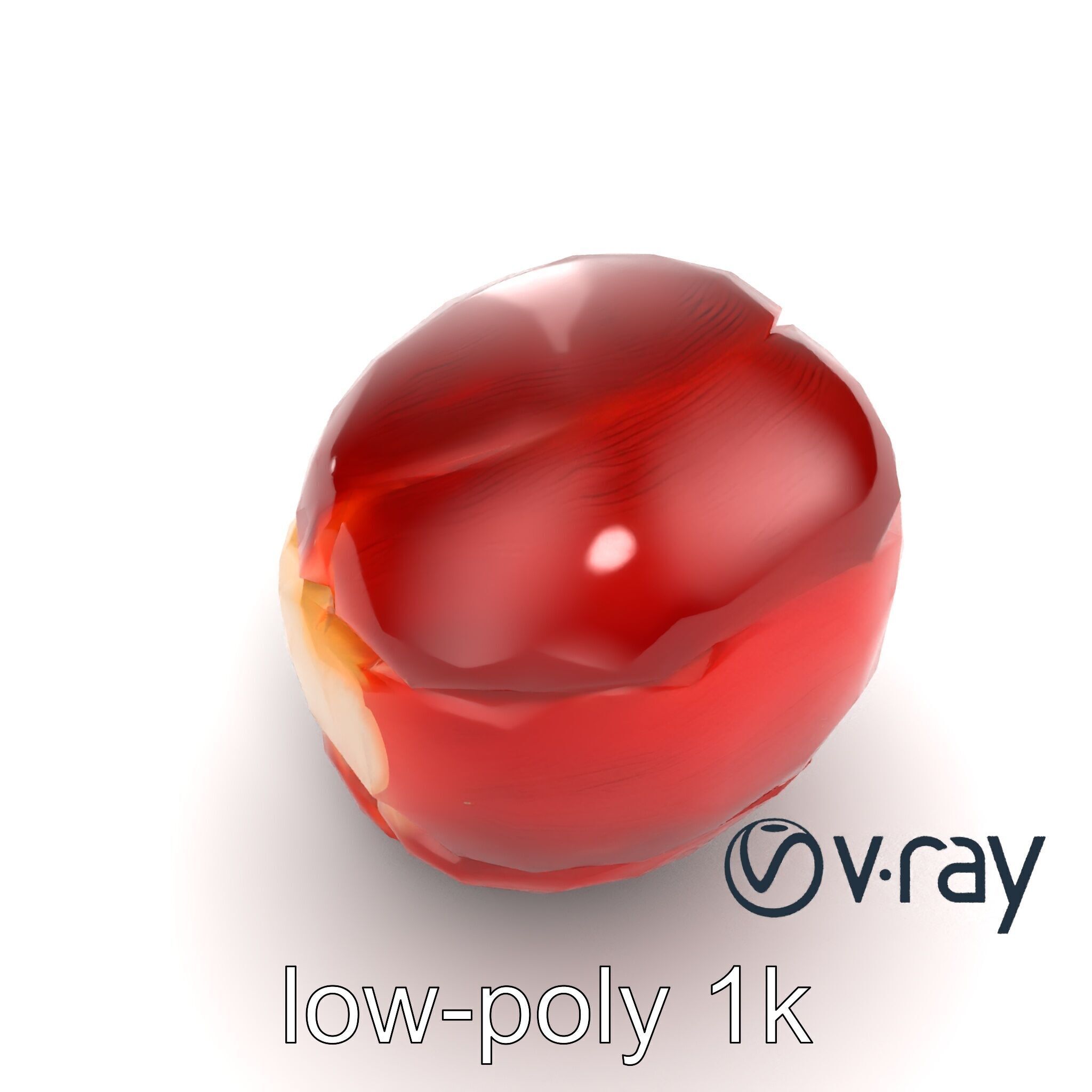 Realistic Human Kidney Anatomy model pack Low-poly 3D model_19