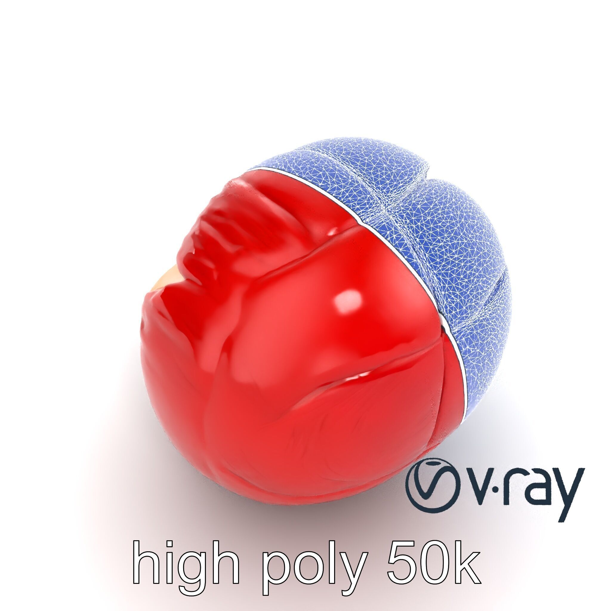 Realistic Human Kidney Anatomy model pack Low-poly 3D model_22