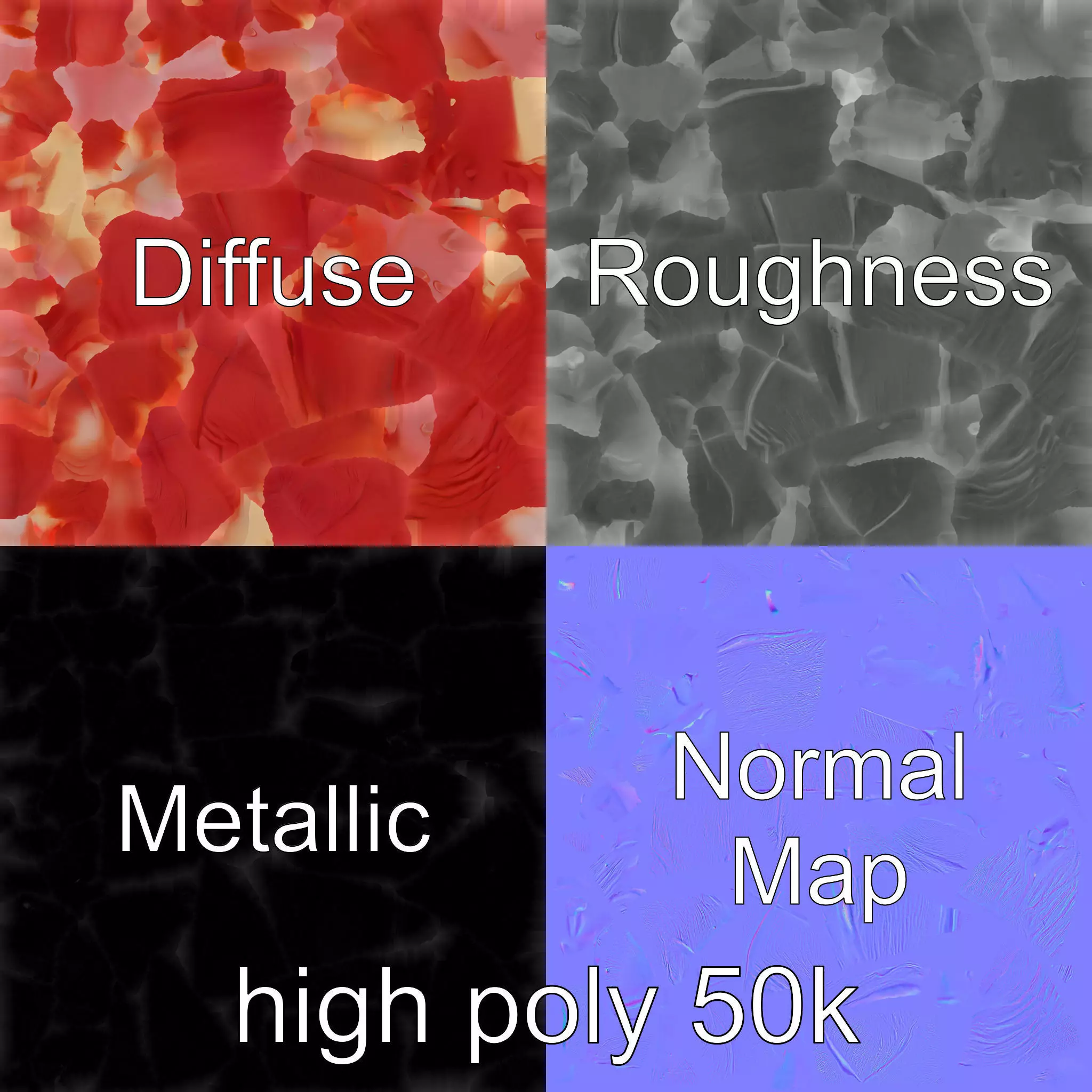 Realistic Human Kidney Anatomy model pack Low-poly 3D model_0