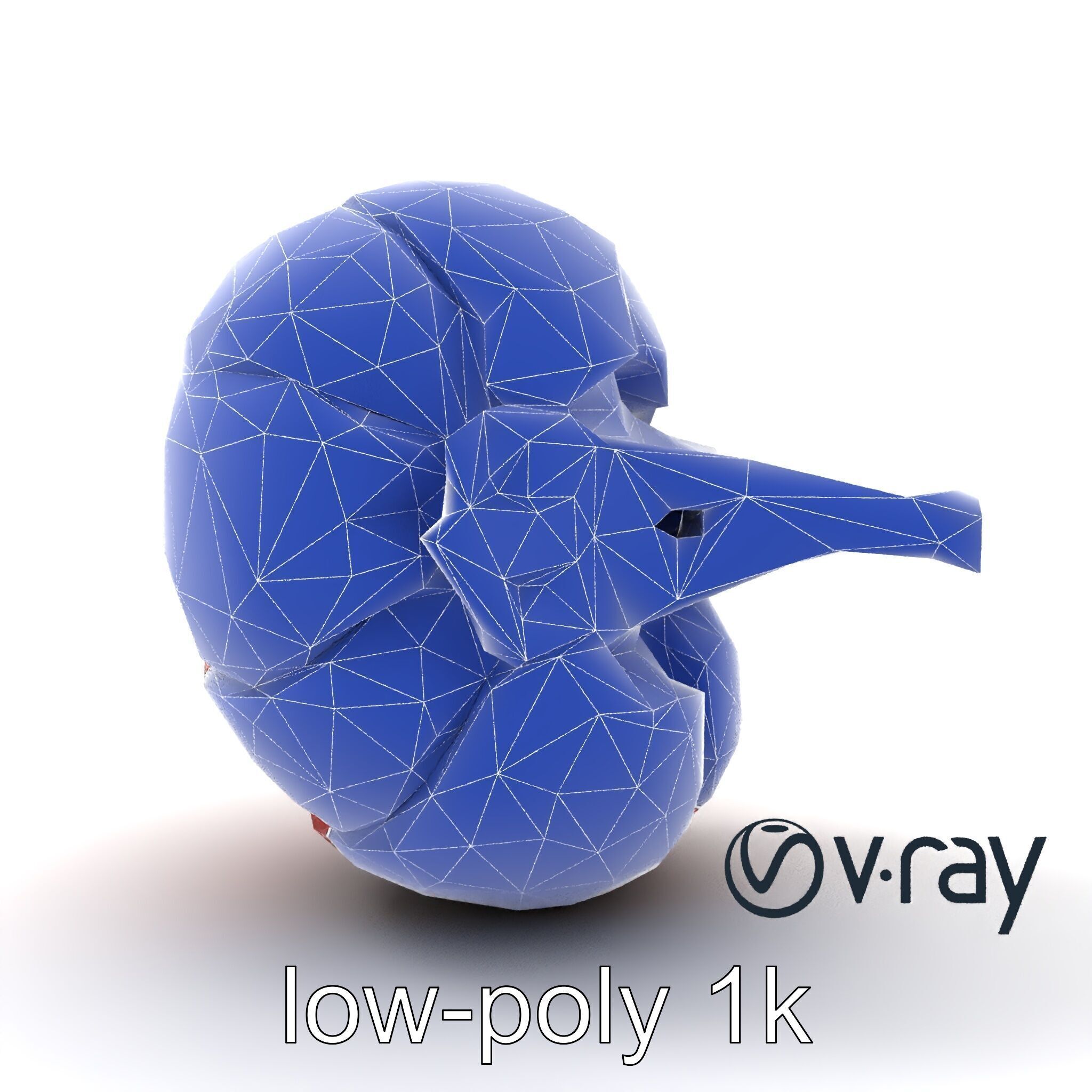 Realistic Human Kidney Anatomy model pack Low-poly 3D model_15