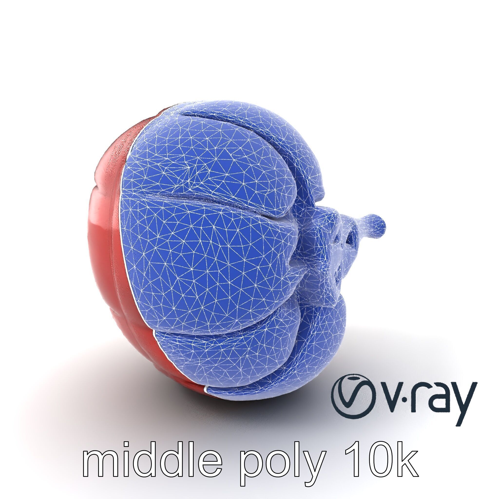 Realistic Human Kidney Anatomy model pack Low-poly 3D model_17