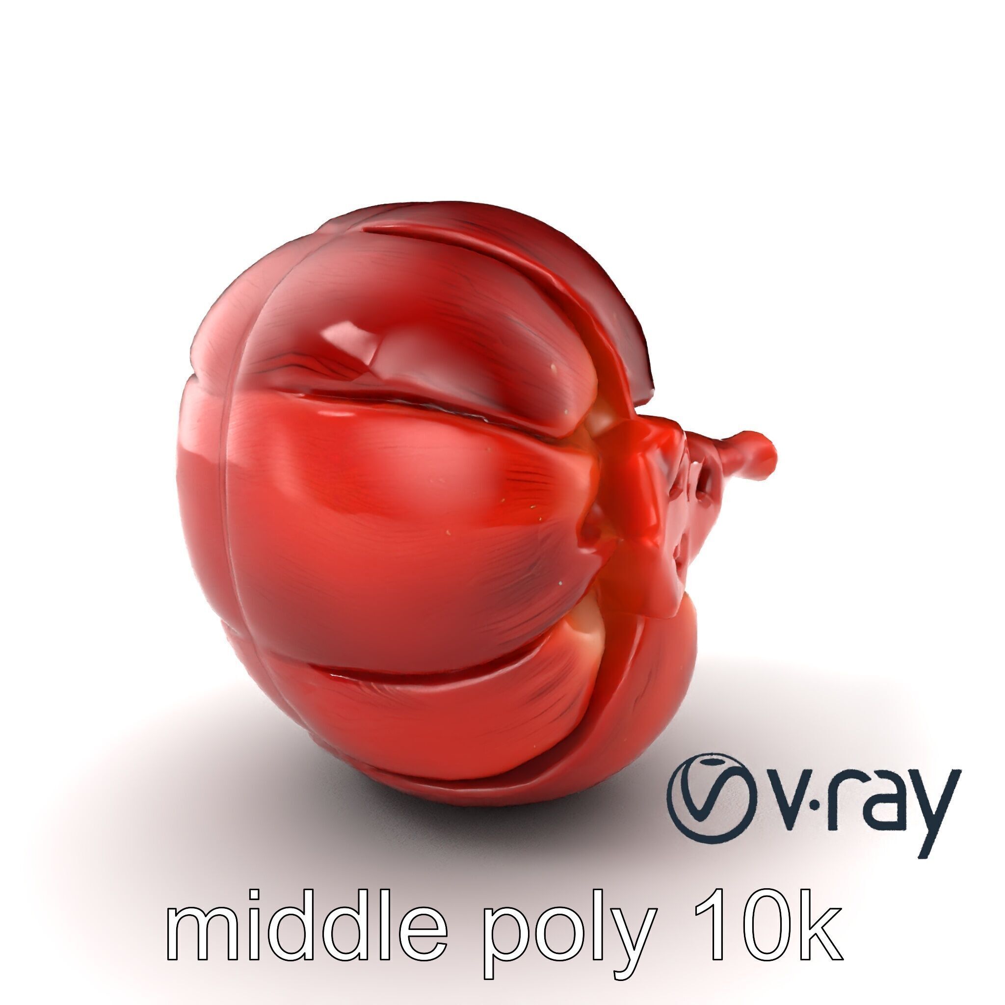 Realistic Human Kidney Anatomy model pack Low-poly 3D model_3