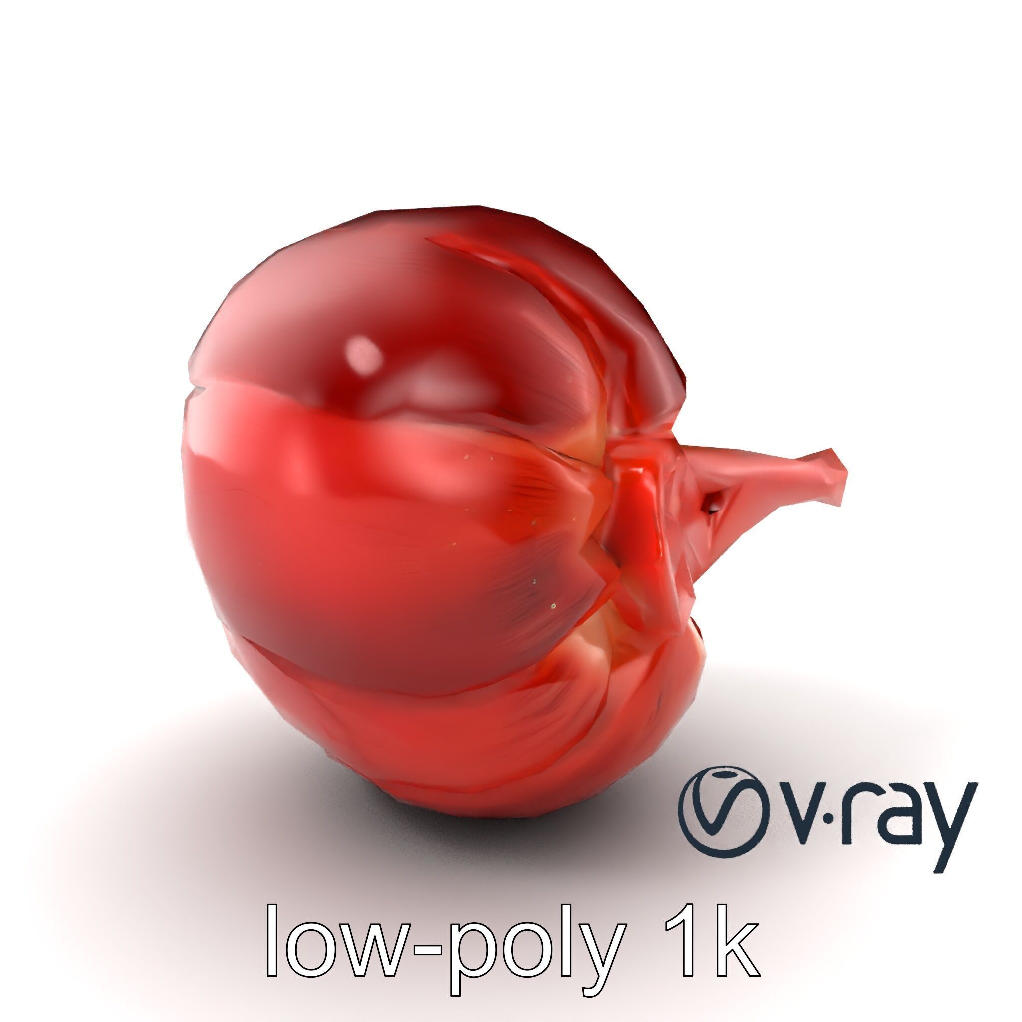 Realistic Human Kidney Anatomy model pack Low-poly 3D model_2